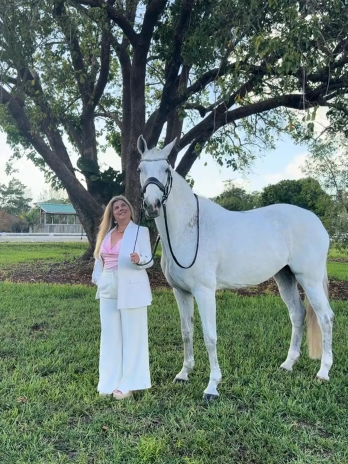 @LumiereEquestrian