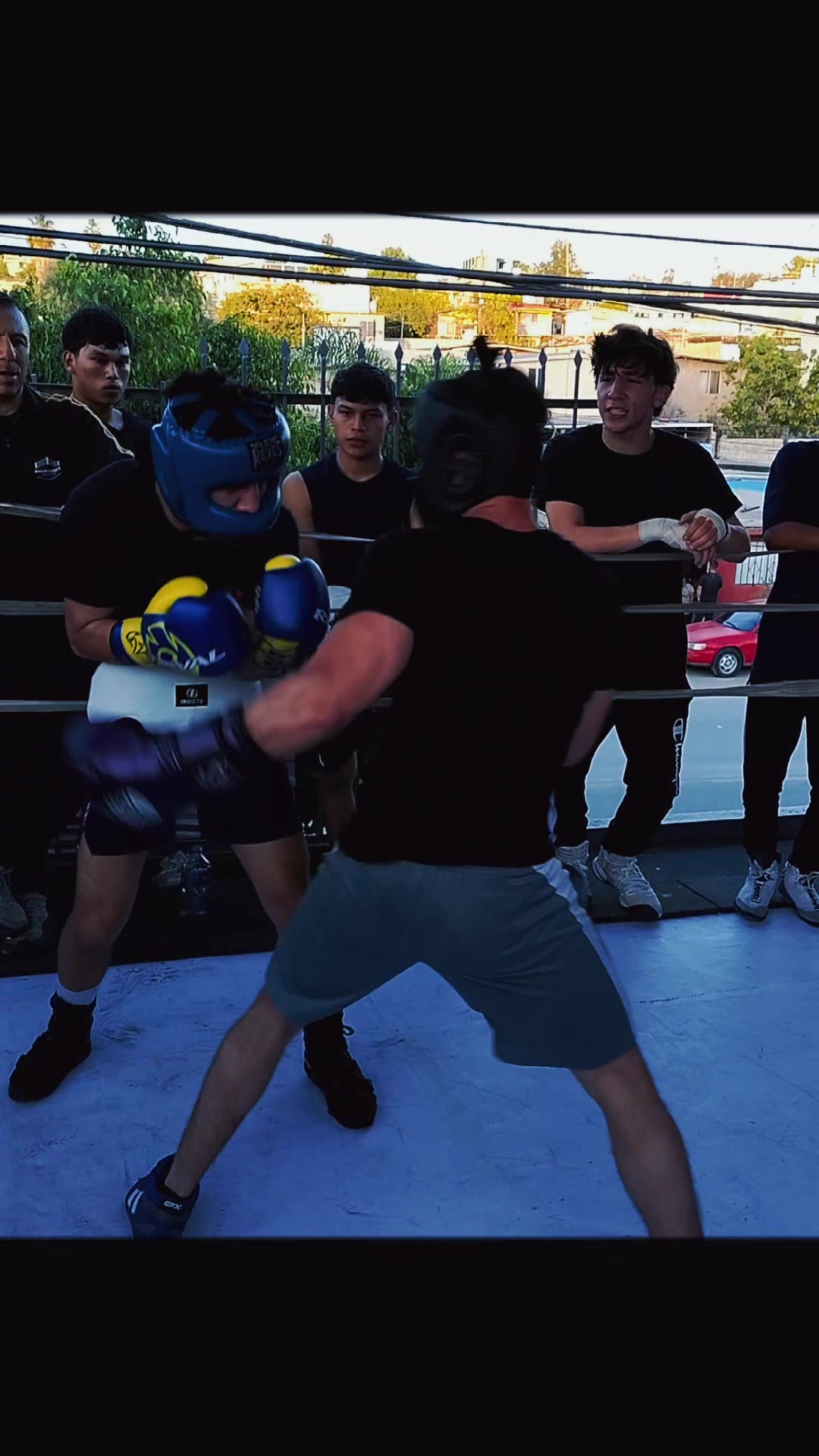 @palas boxing