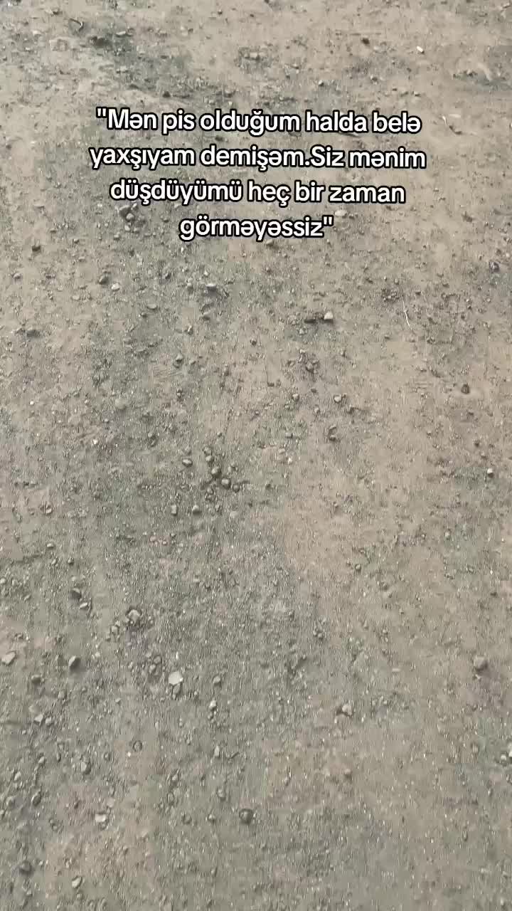 @Taliş