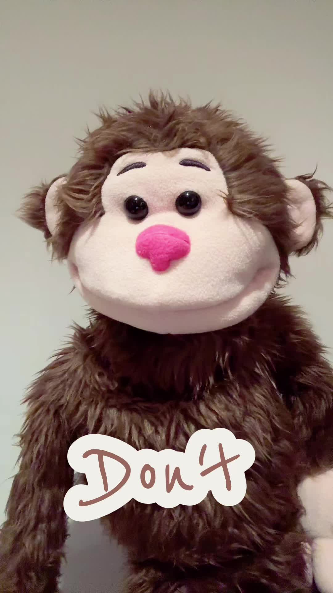 @MUPPETPOOL