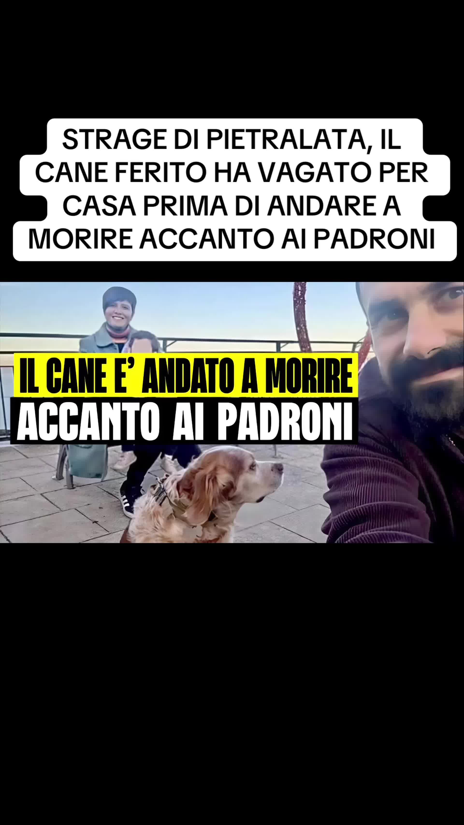 @flashtv_notizie