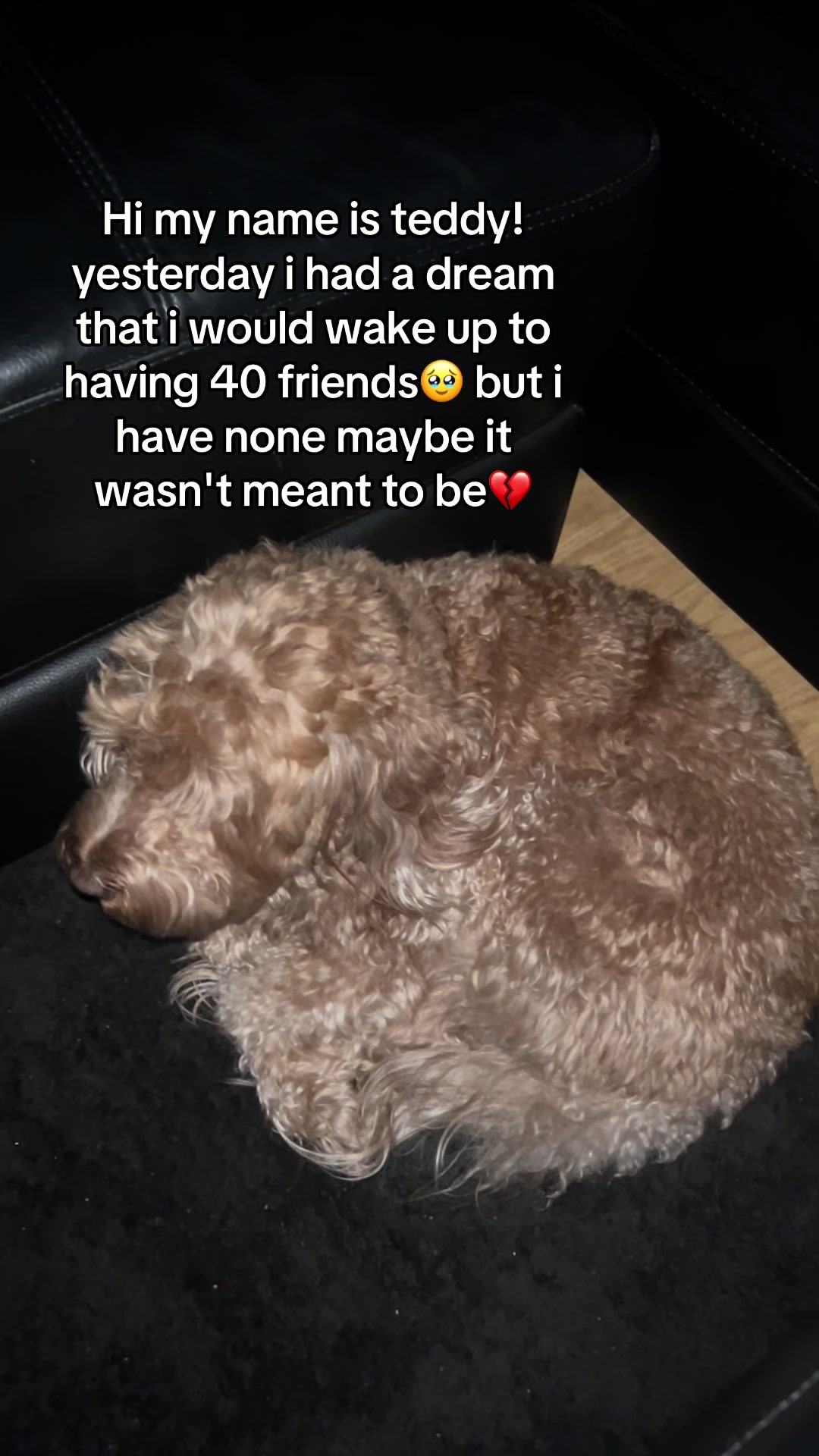 @Jojosfindzz