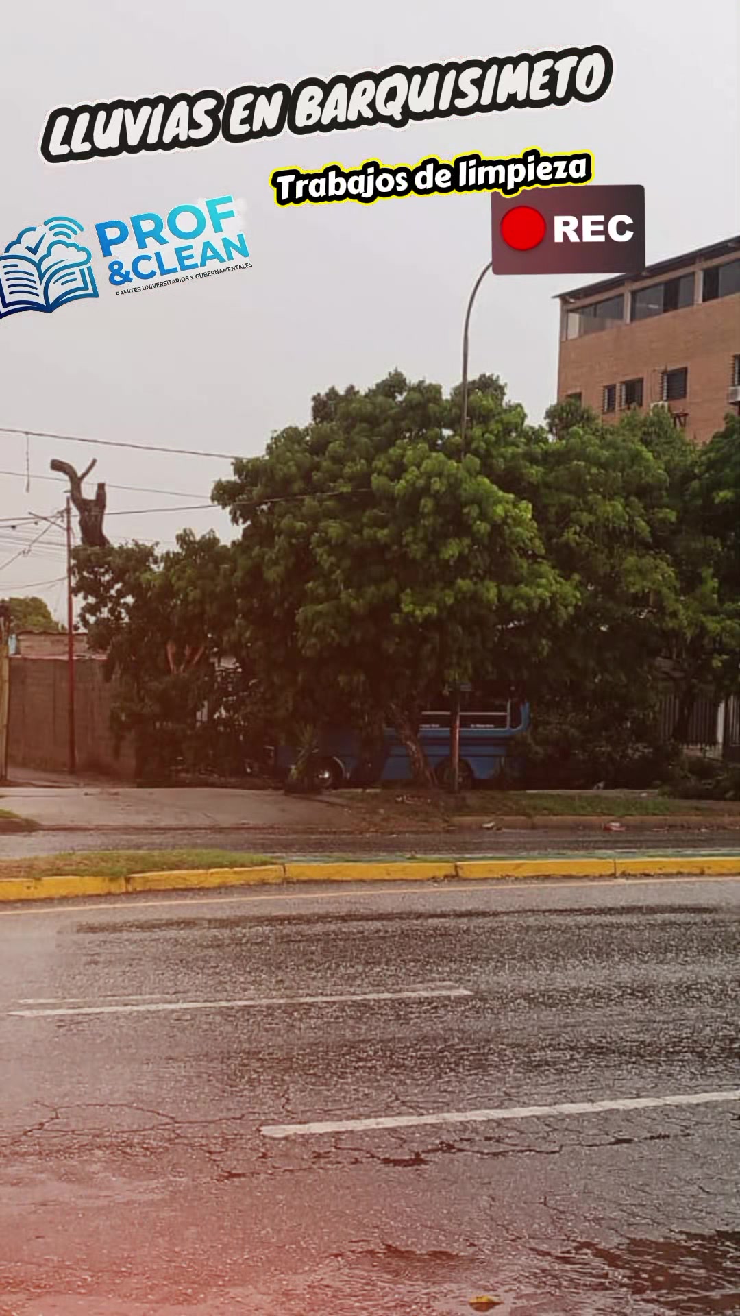 @Prof&Clean Armando Rodr&iacute;guez