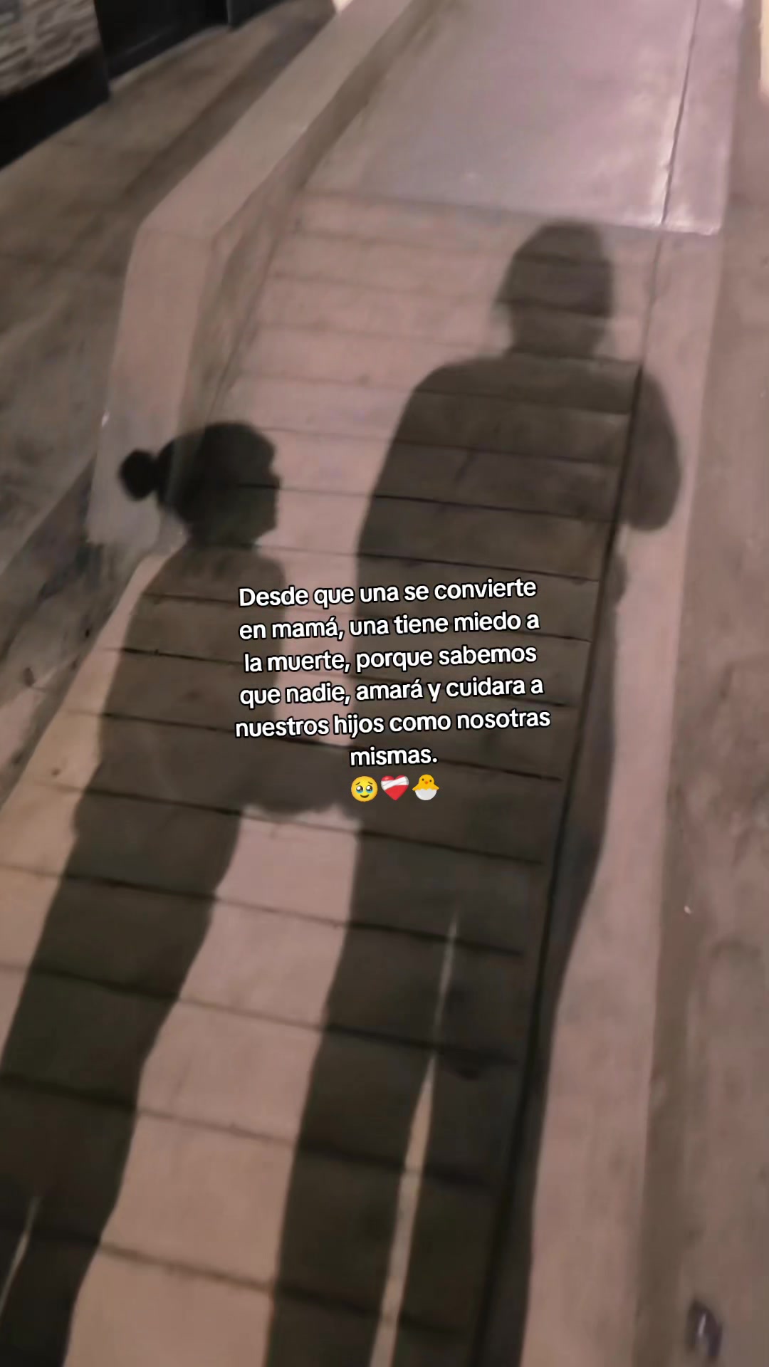 @&hearts;️𝐿𝓎 𝒞𝒞𝟫𝟫-𝟢𝟨🦁Oficial
