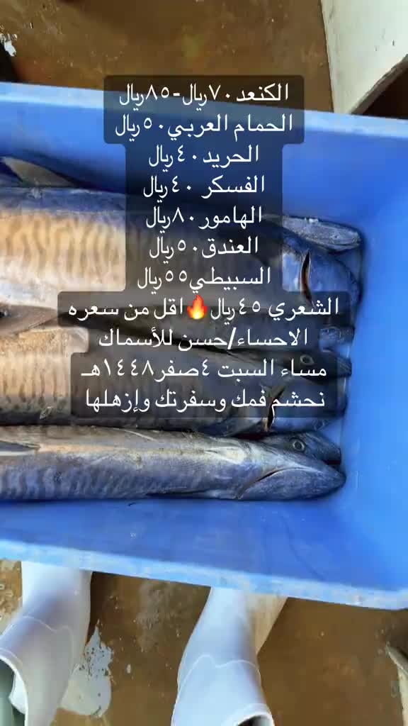 @لاين بحري