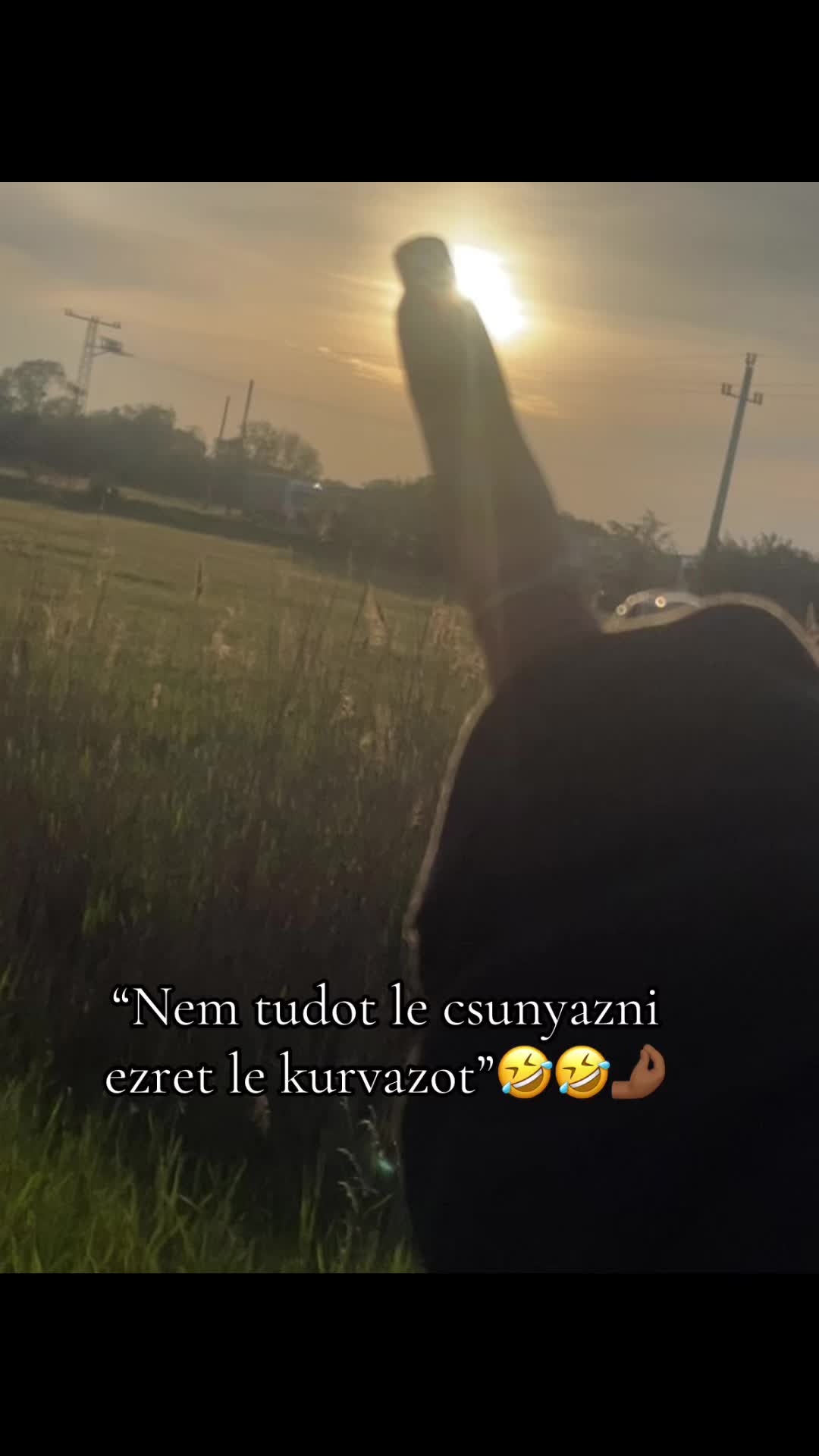 @👸🏾A kir&aacute;lynő amina👸🏾