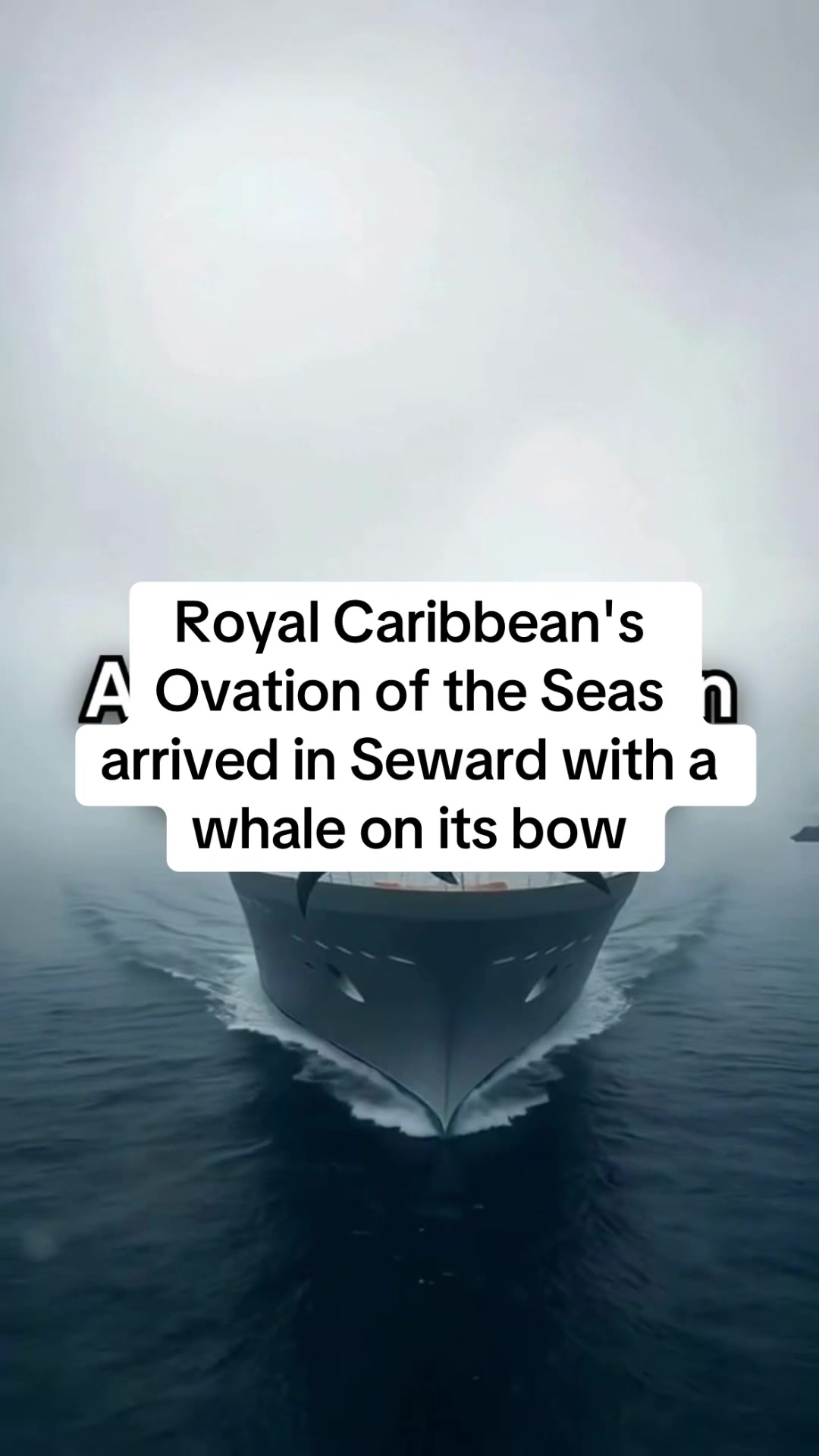 @Cruise Tips Tricks n News