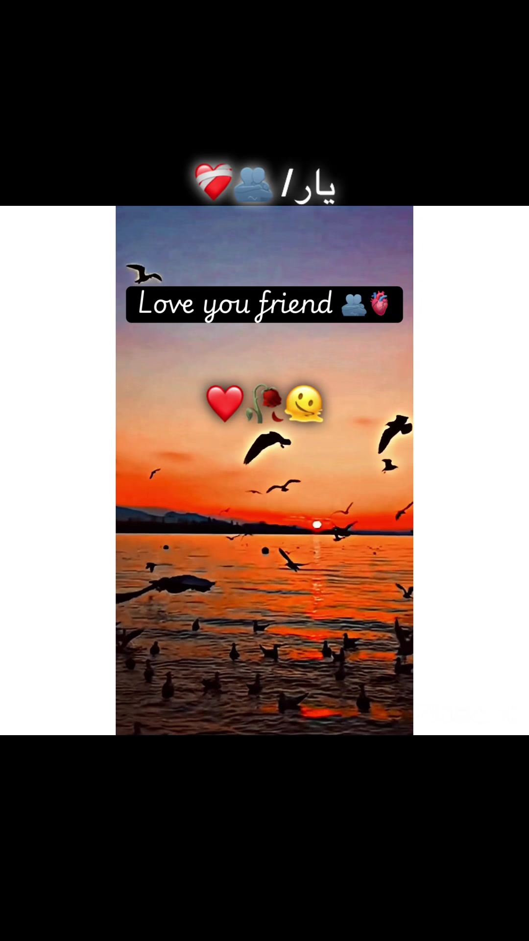 @صاحب 🍁🏴&zwj;☠️🚩