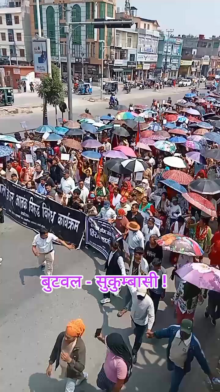 @ajarnews.com