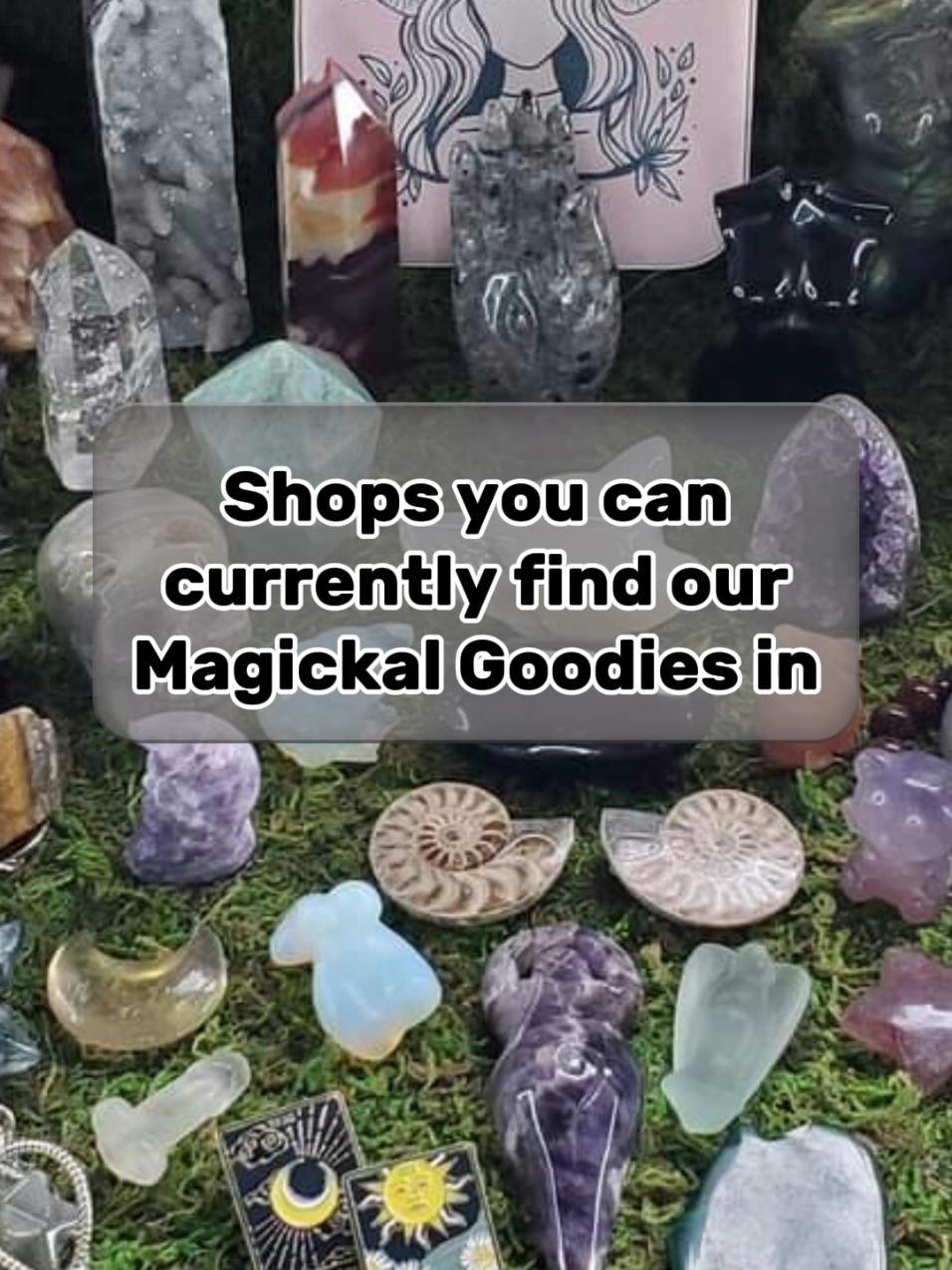 @Weird and Wild Witch