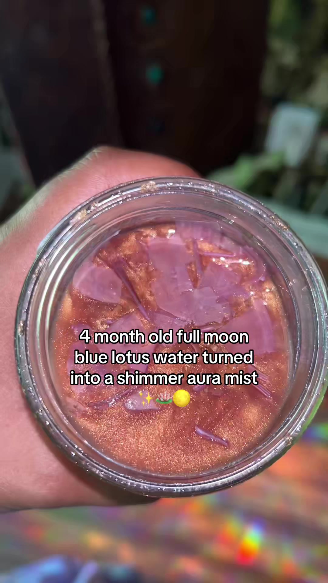@WhimZee 🌺✨🧚🏽🔮