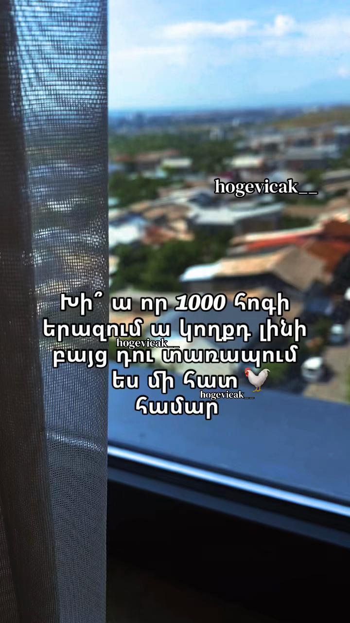 @hogevicak__