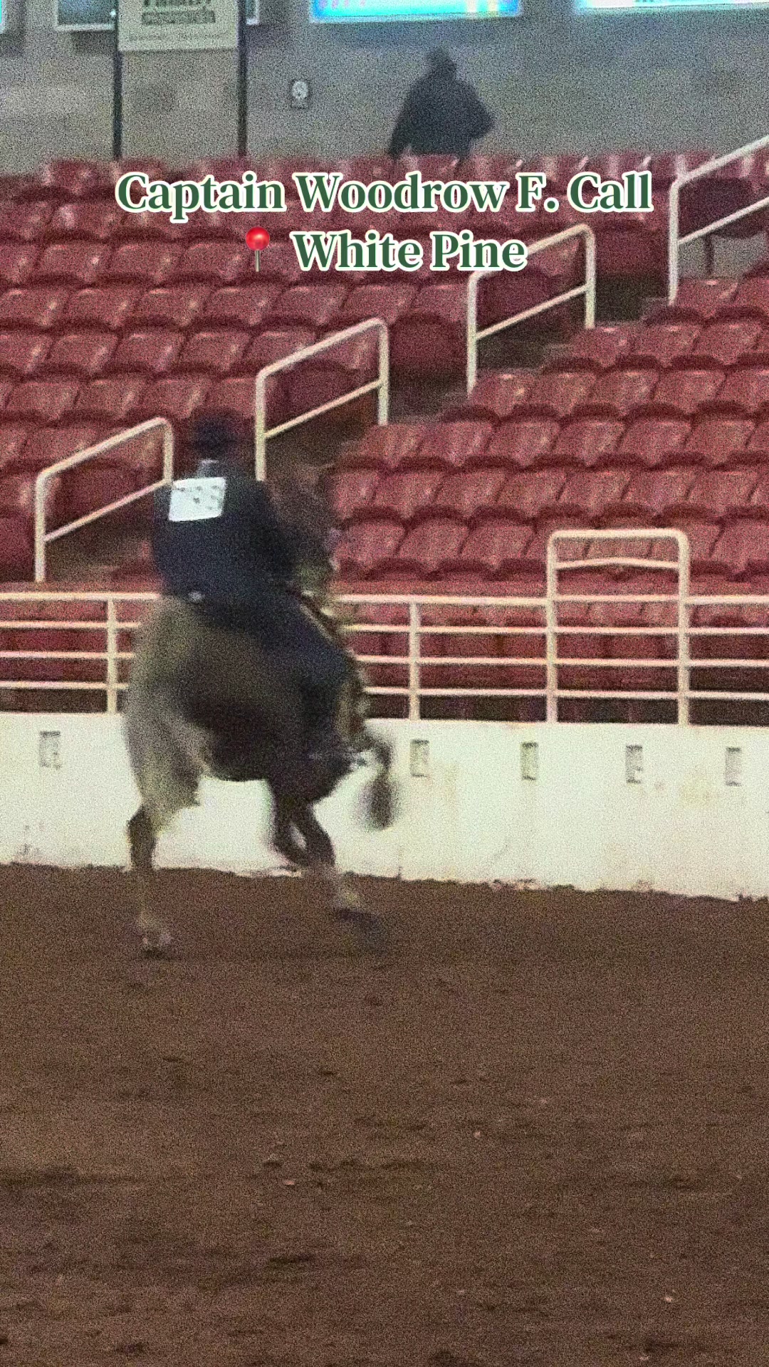 @EightyDollarStables