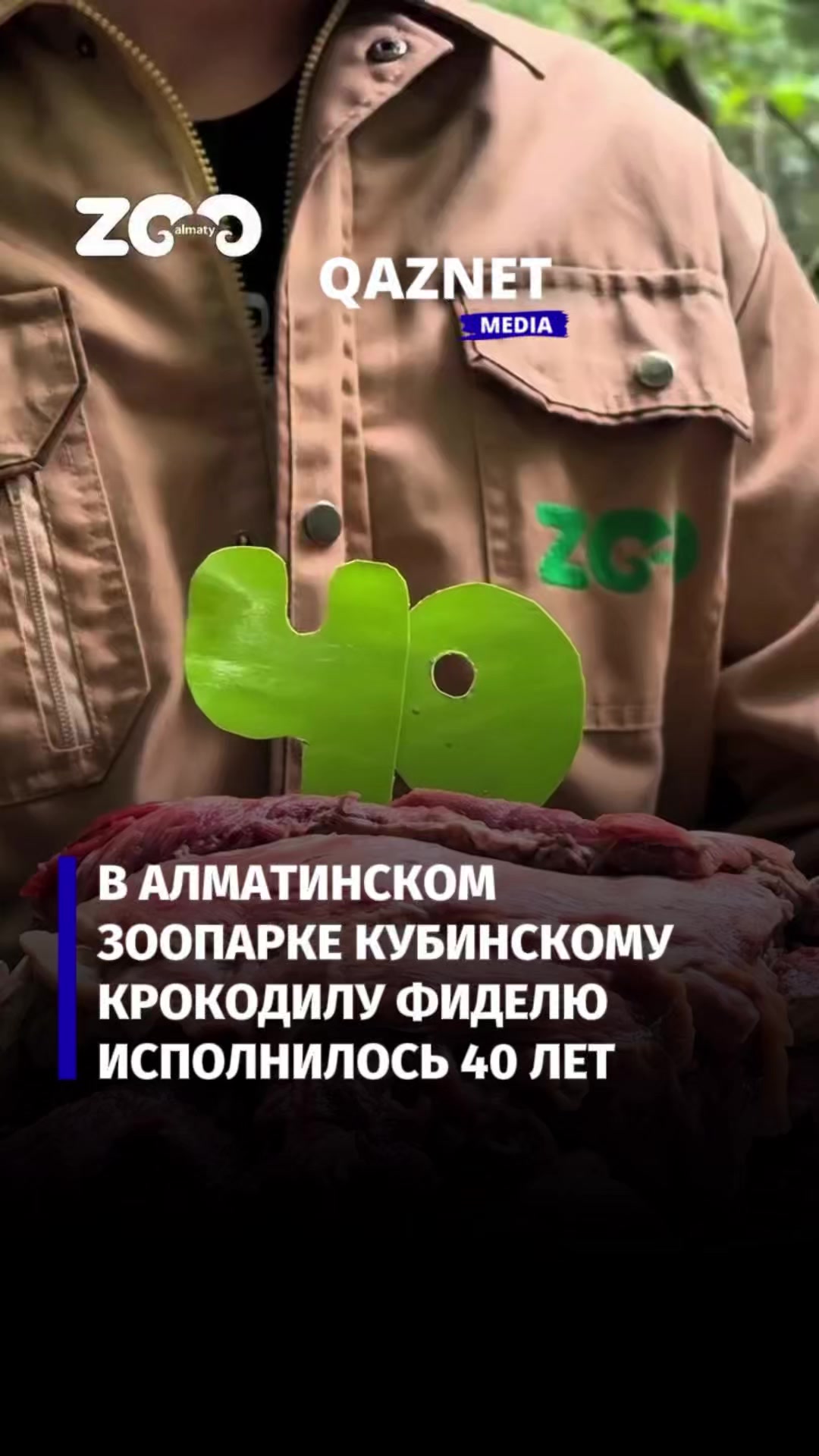 @qaznet.media