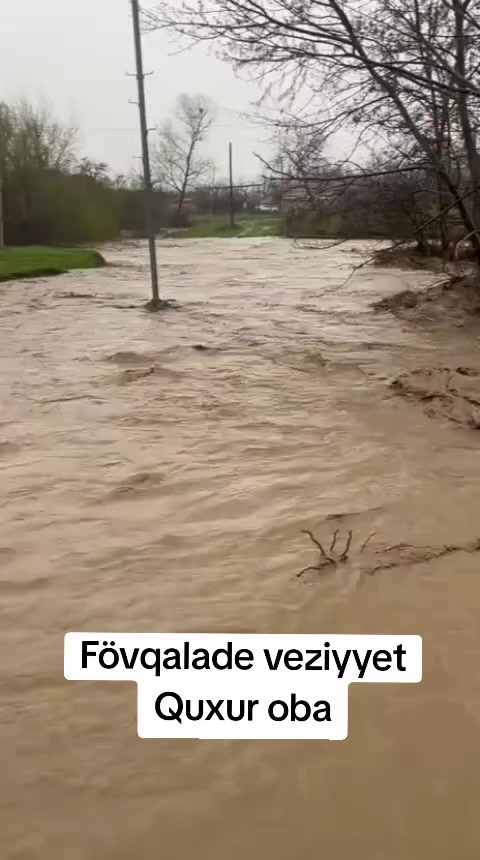 @🦅 Zeynal lek 🦅