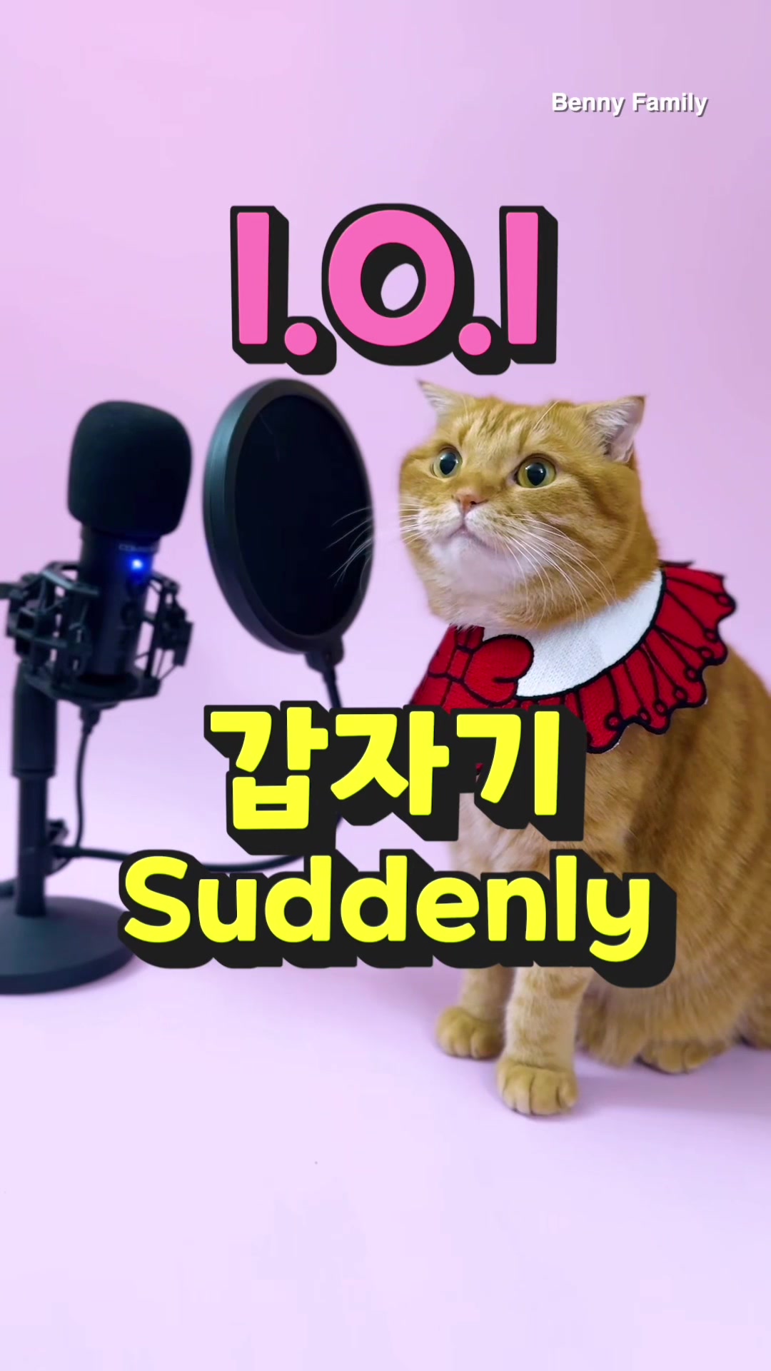 @베니패밀리 Benny Family