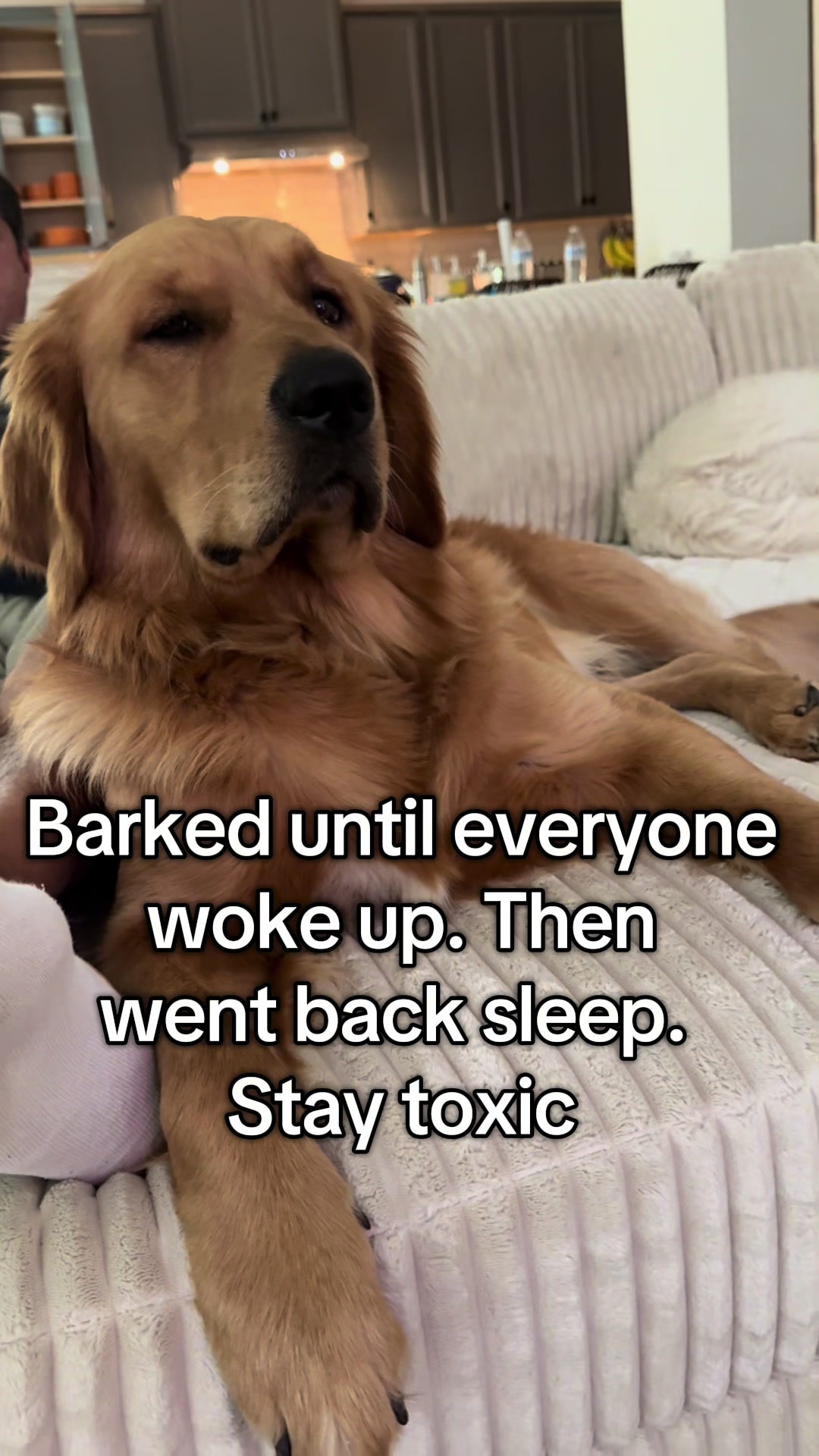 @Maverick McPaws