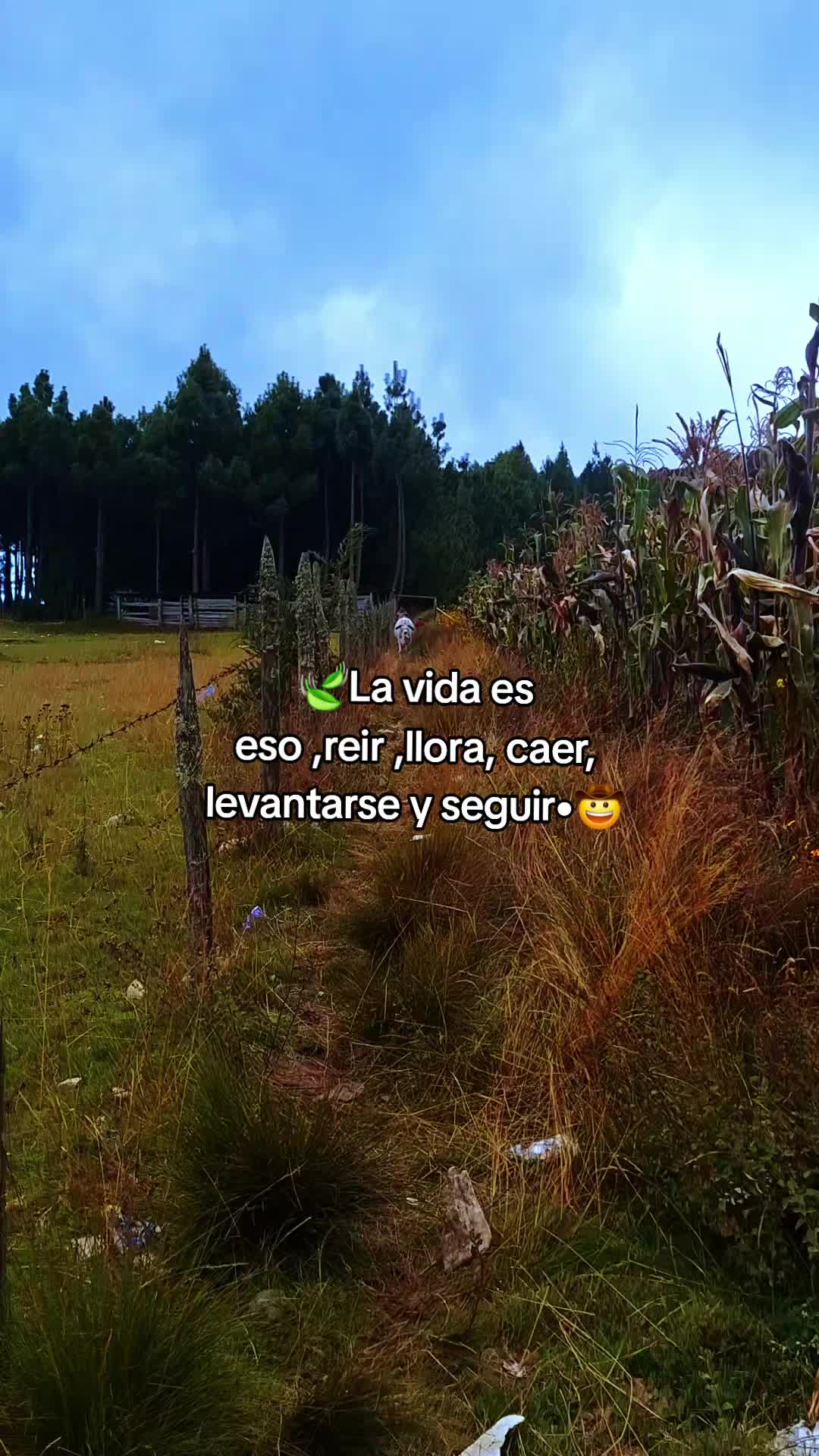 @🐑🦭Juaréz🦦🪼P