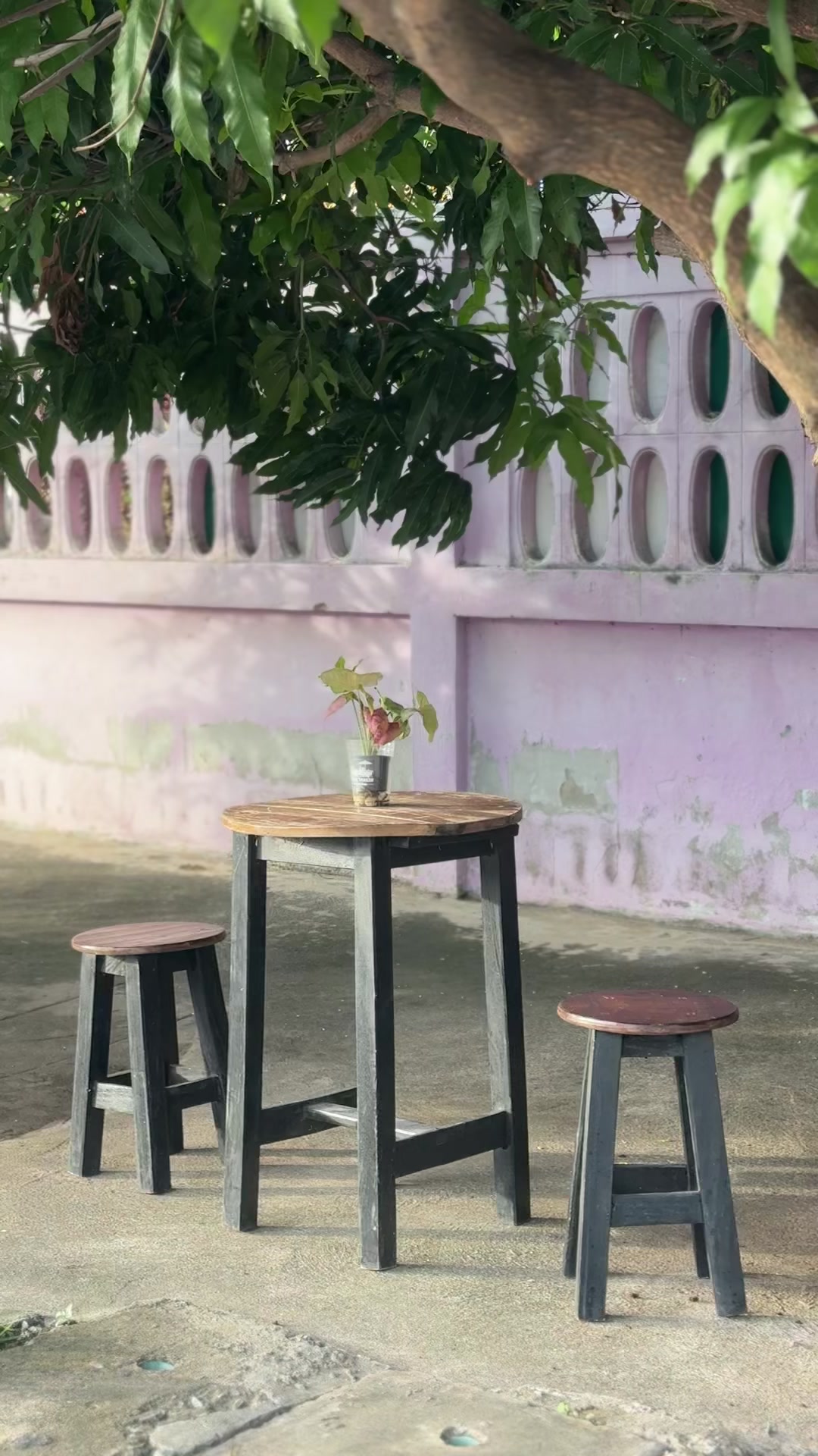 @ปังก้อน-Pangk’on