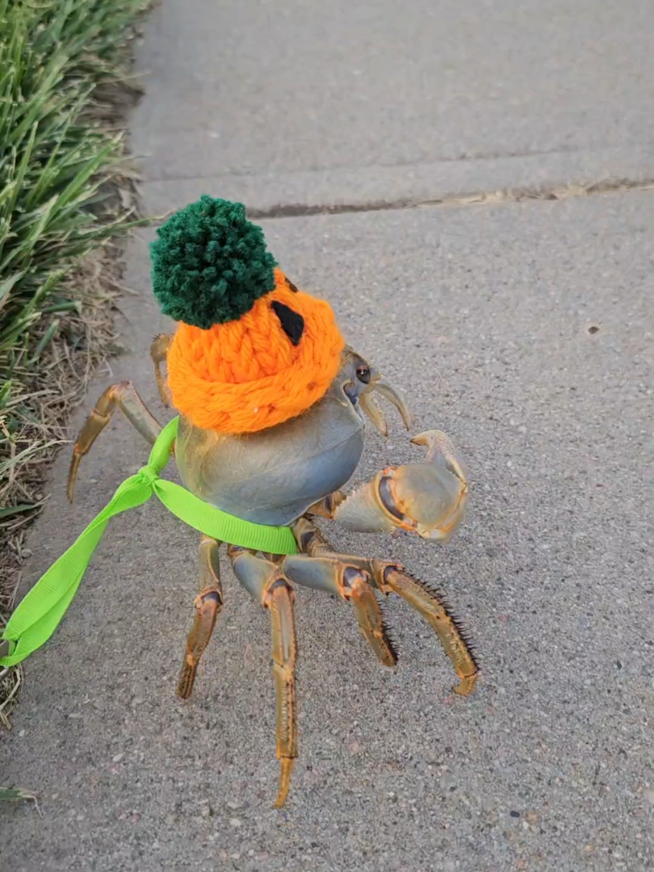 @Howie The Crab