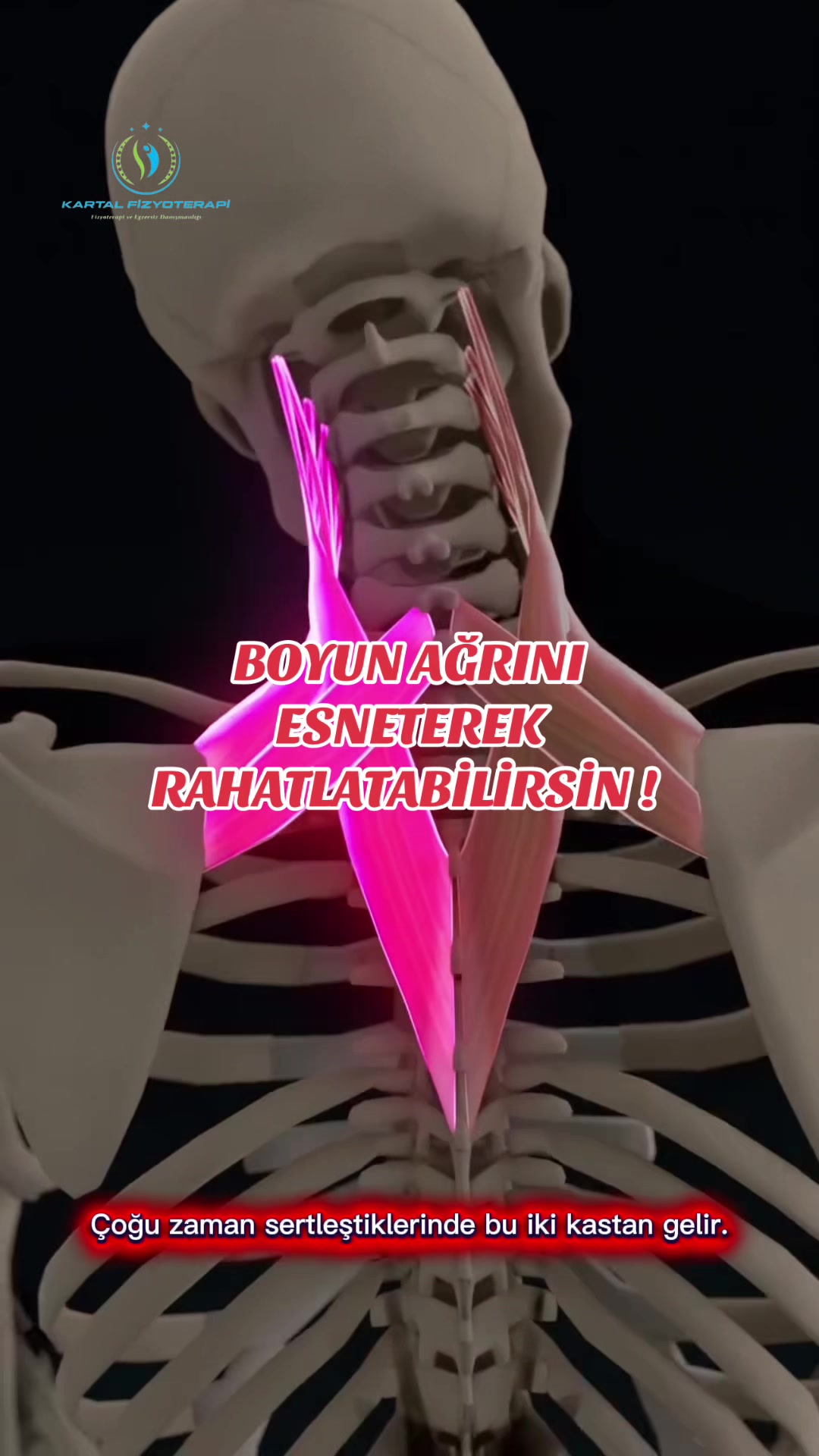 @kartalfizyoterapi