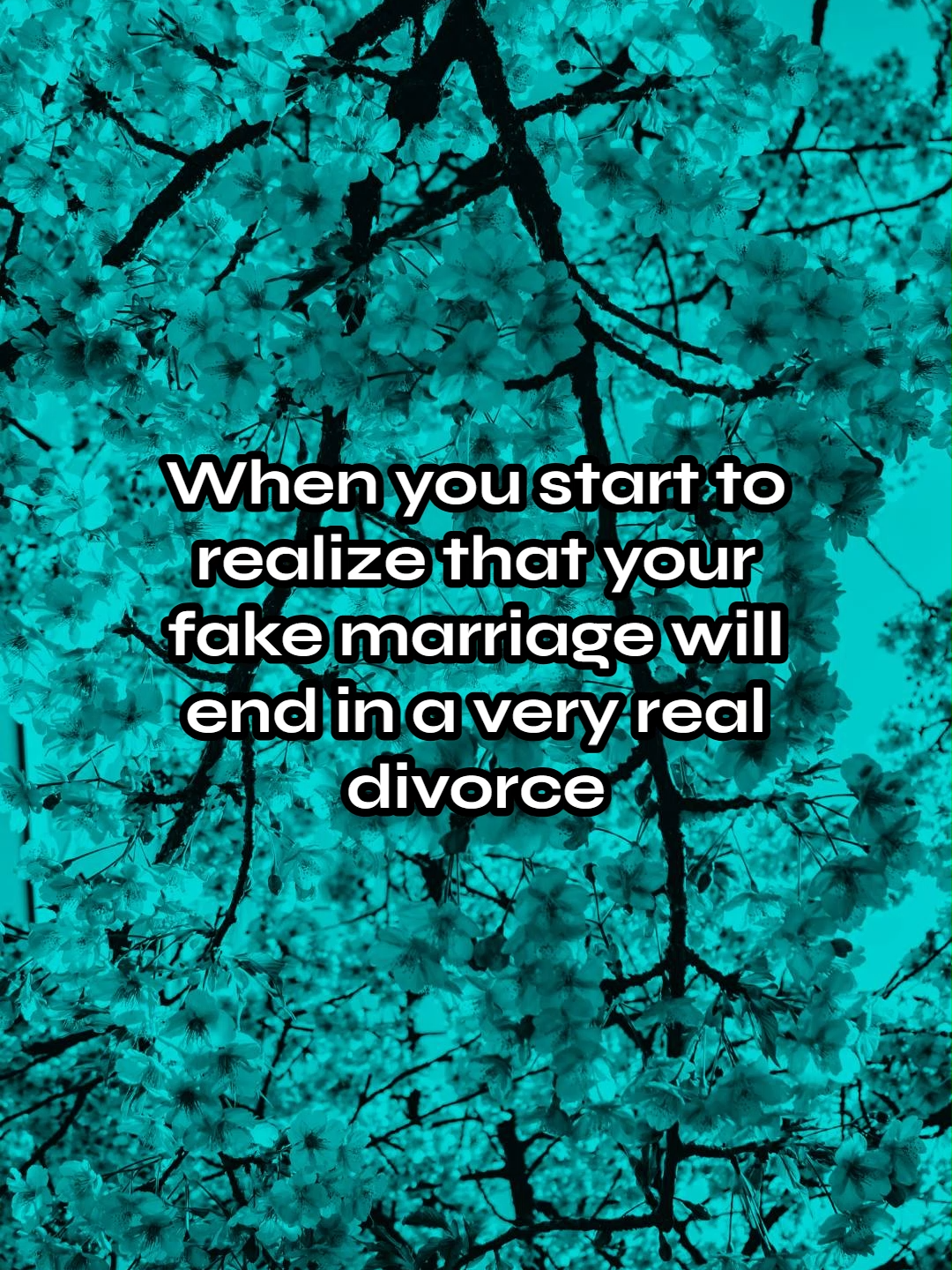 @Shonna Preston - Author