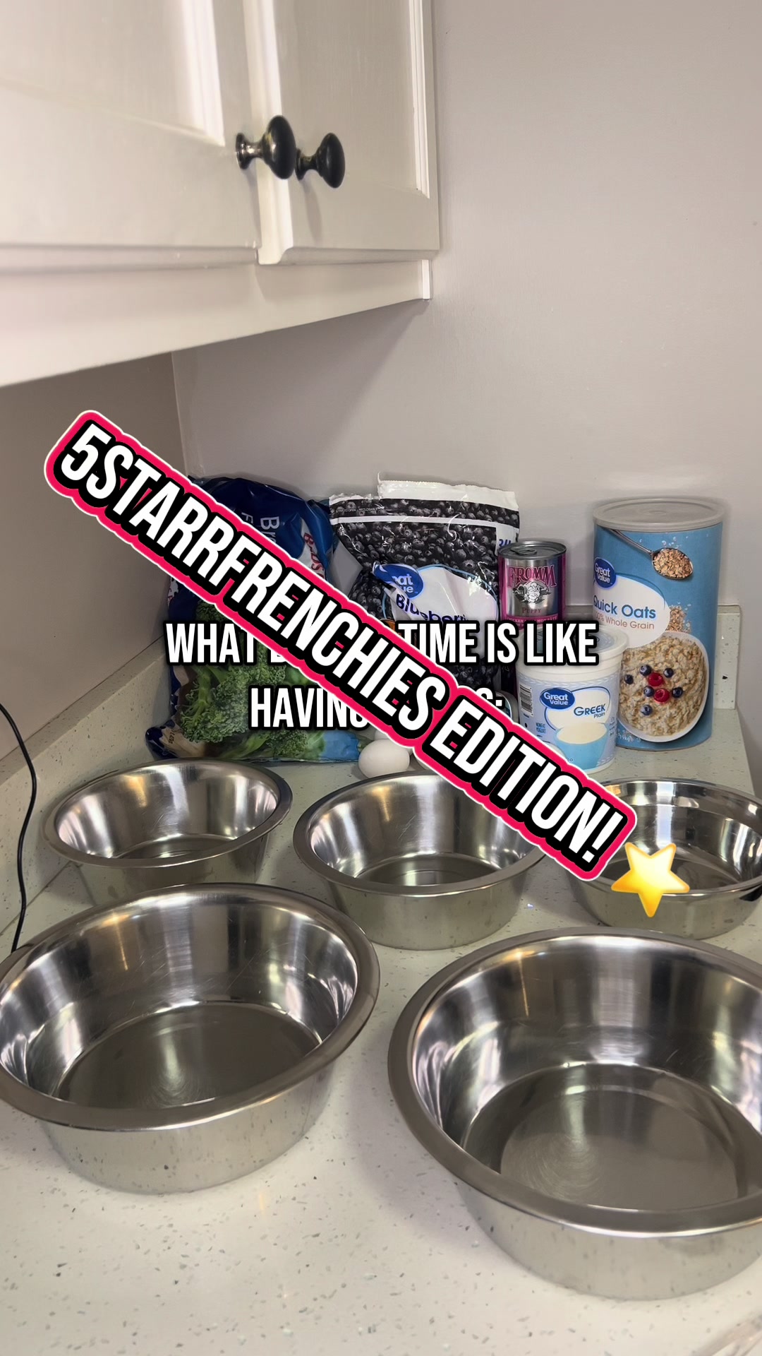 @⭐️ 5 Starr Frenchies ⭐️