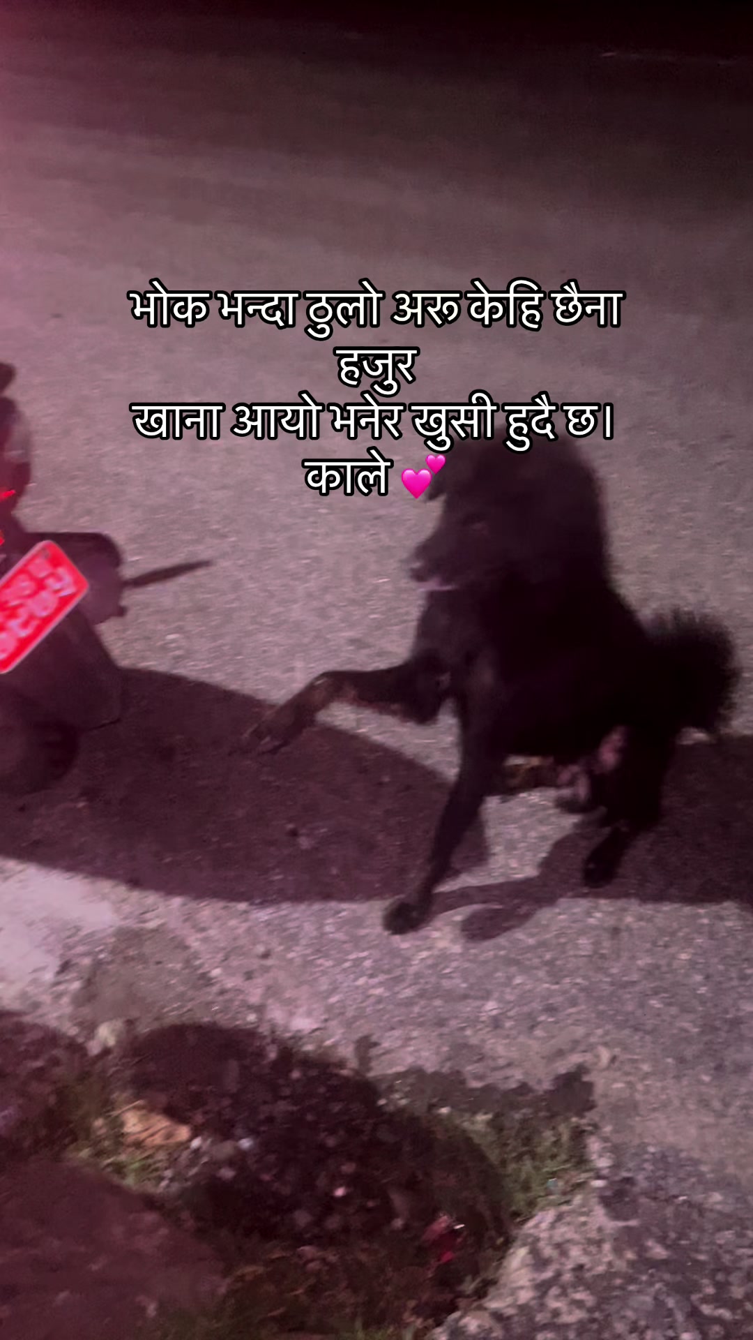 @🧿Mayara pukuli🐕🧿