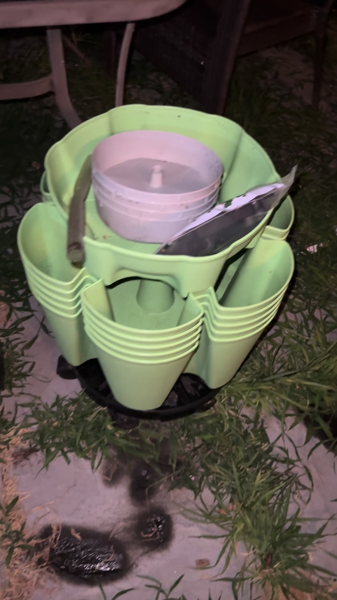 @The Bitchy Gardener - Jess 🍉