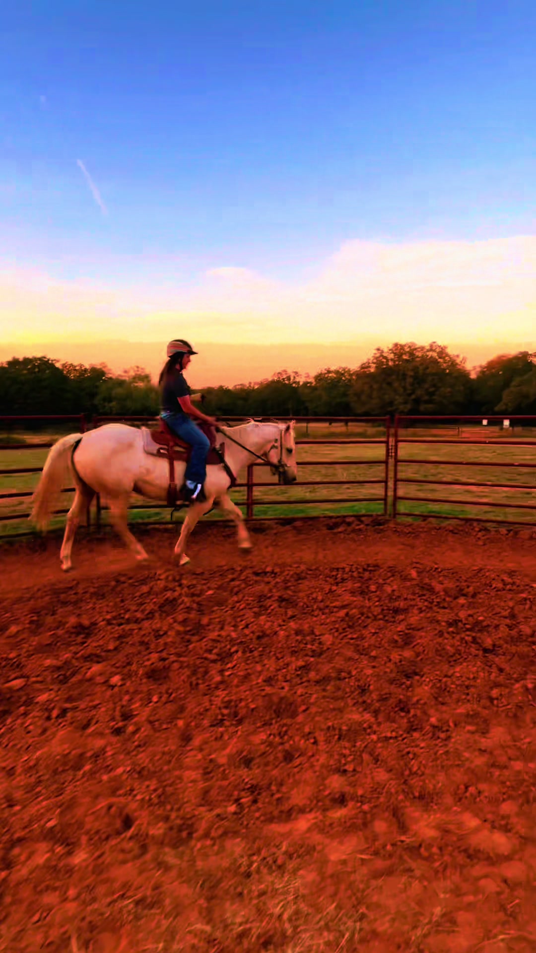 @haley&horses