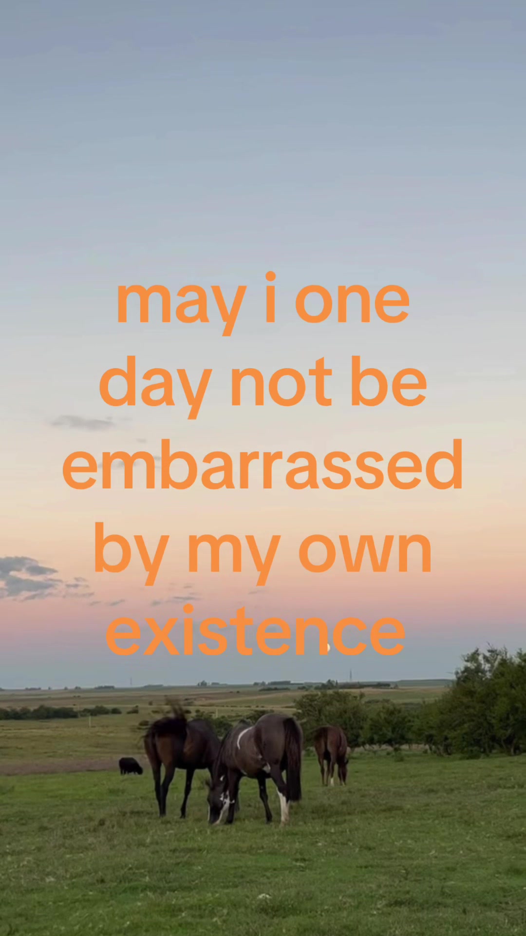 @:0