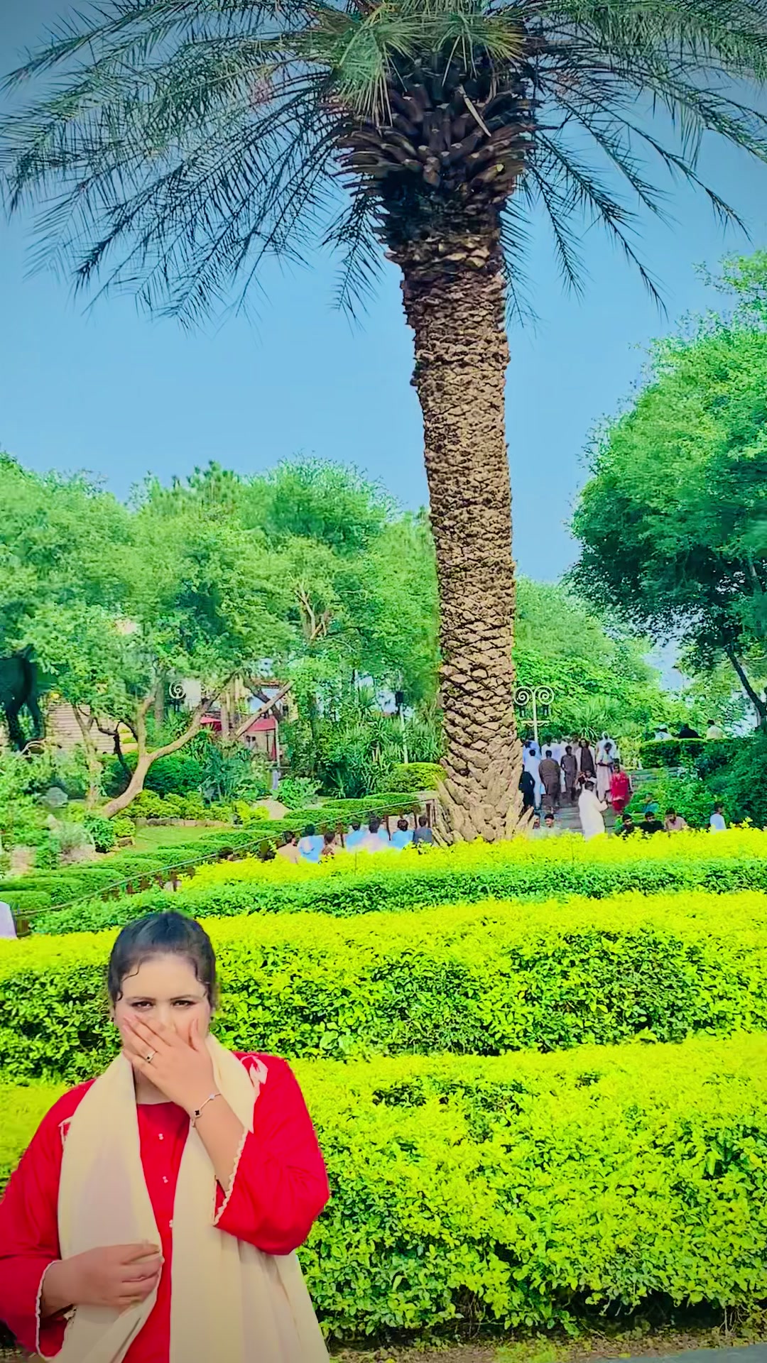 @⚜️فاطمہ عباسی فحرے مری⚜️