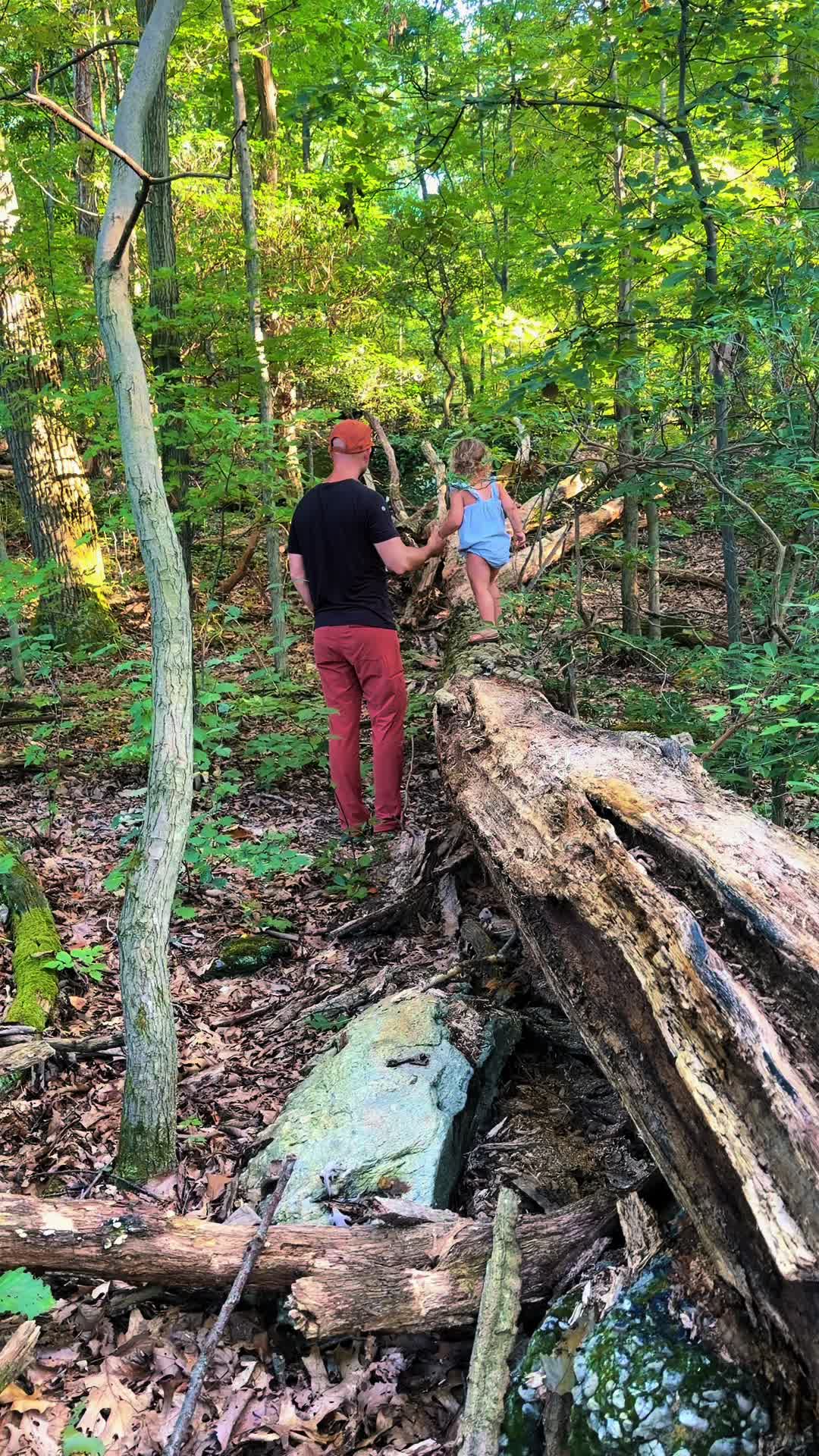@(Not So) Fancy 🏕️