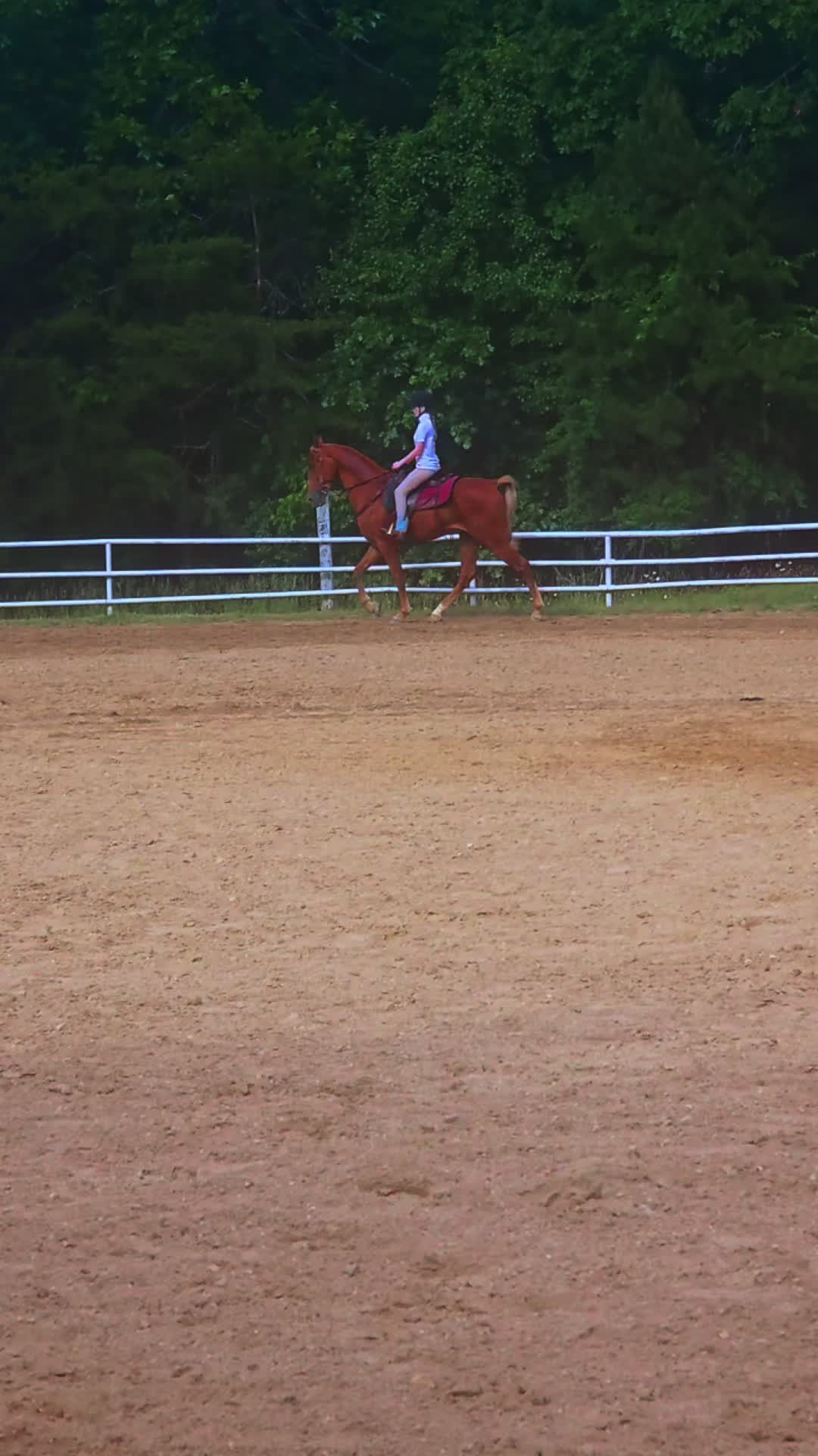@Chattanooga Carriage Company