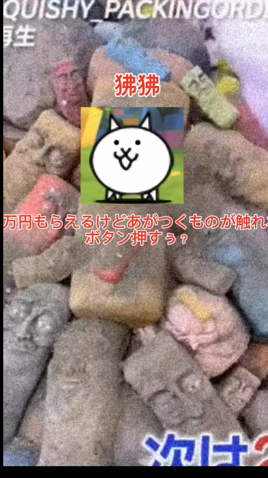 @にゃんこ大生徒