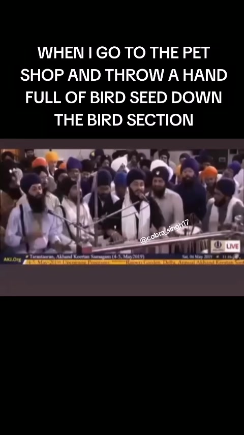 @cobra_singh17