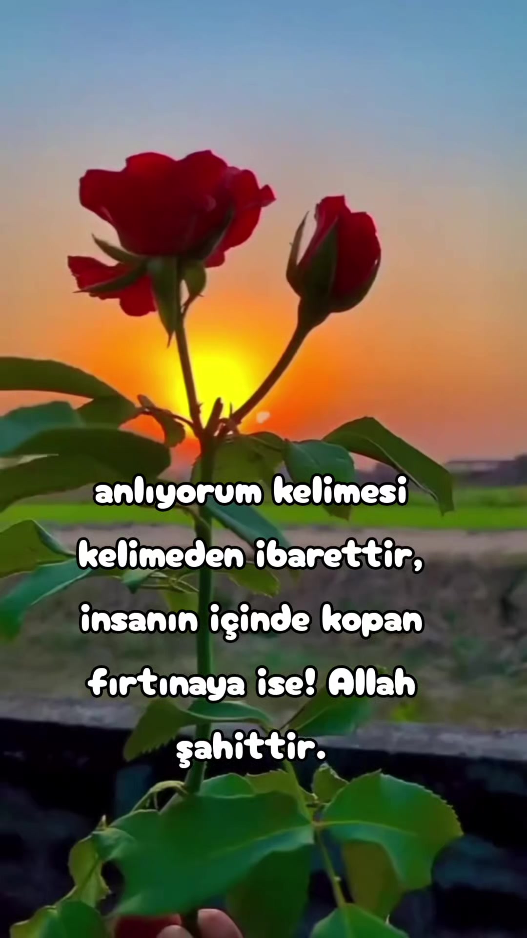 @BİR GARİP YOLCU