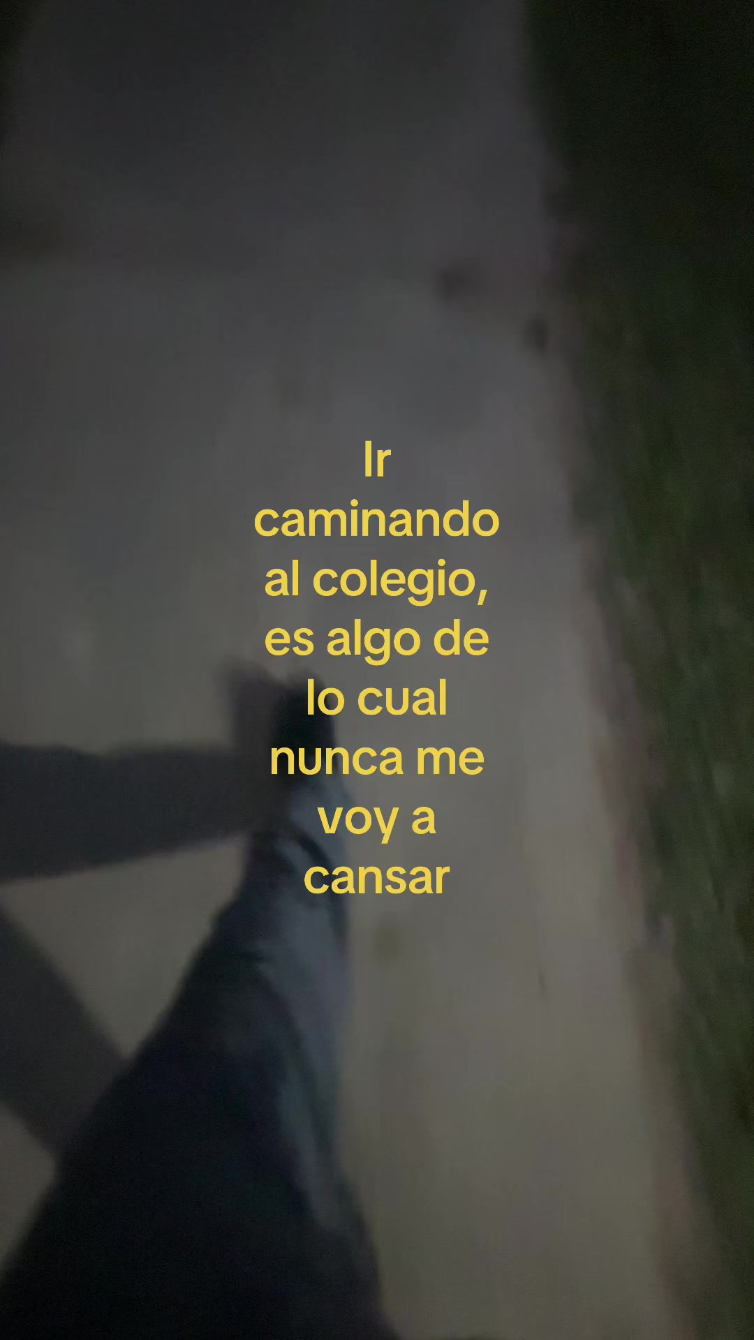 @🕷️