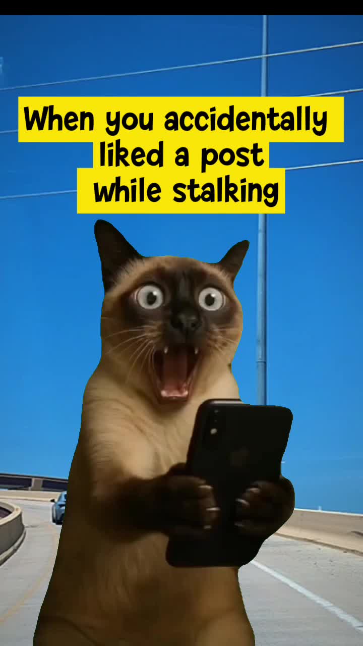 @Julissa kelly 925