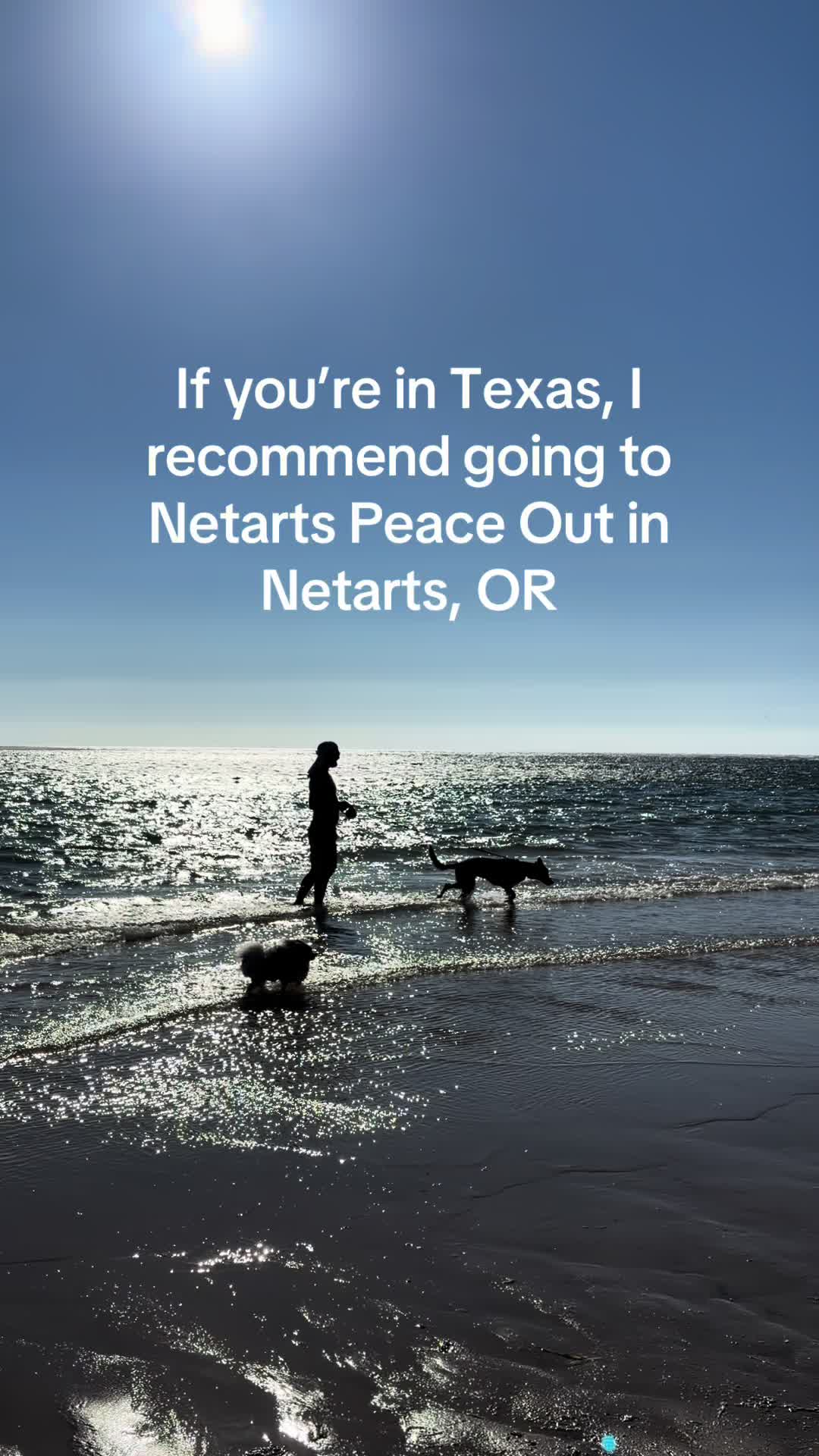 @oregonskyveek