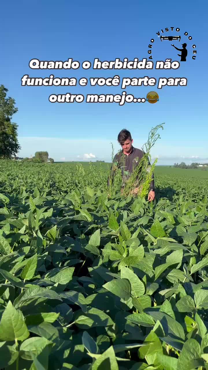 @@agrovistodoceu