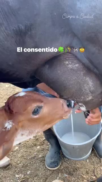 @La Leonera