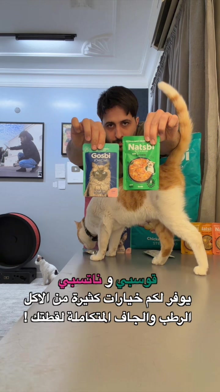 @اقبال والقطط