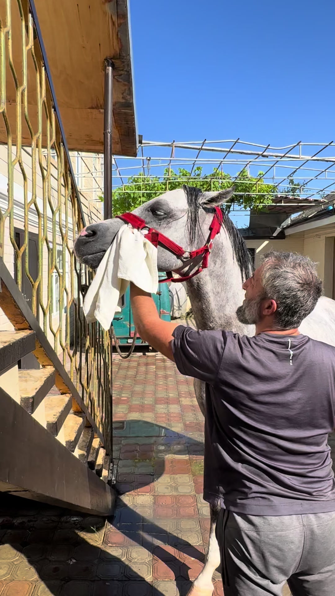 @MakvinStud