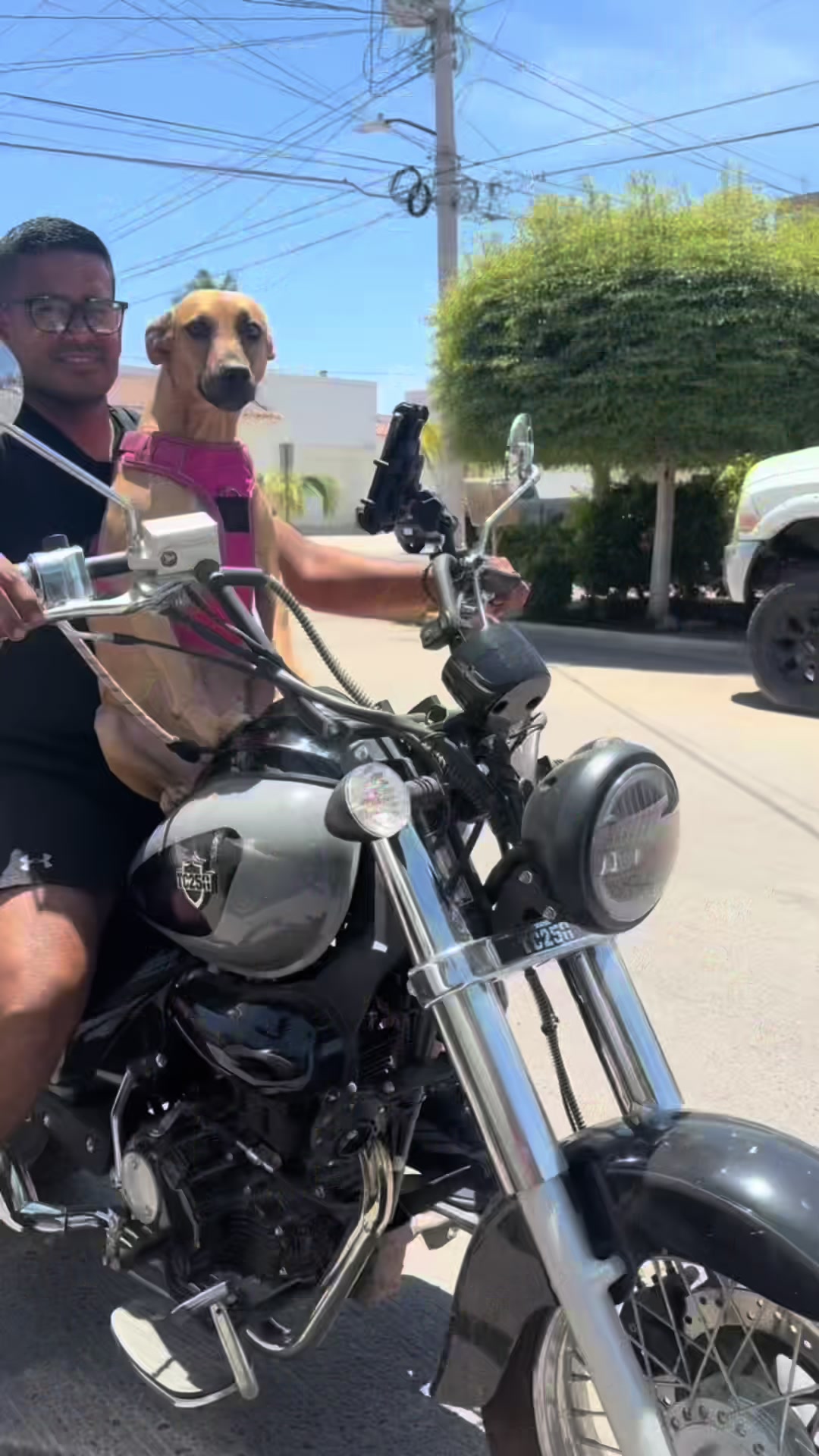 @Lili Alvarez