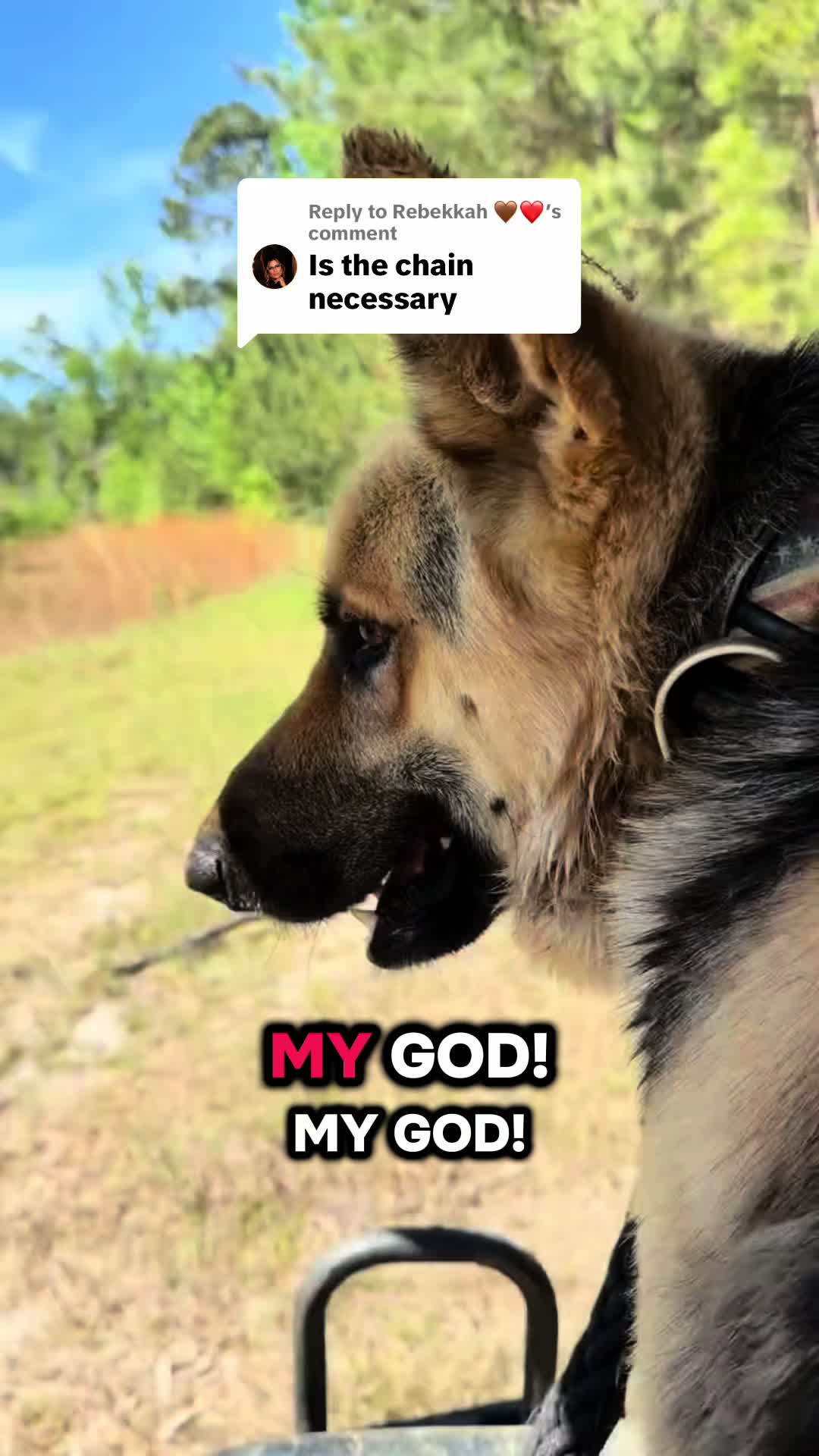 @BirdLadySpeaks