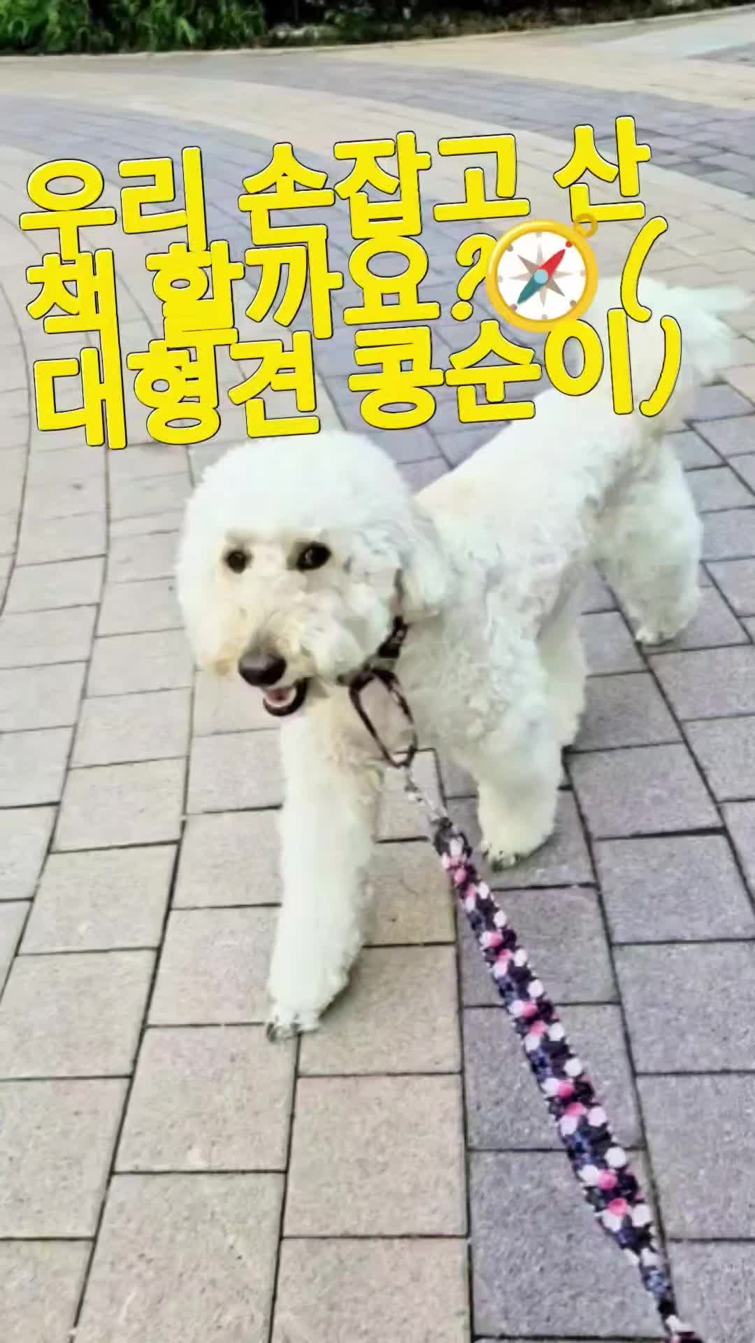 @백서현218