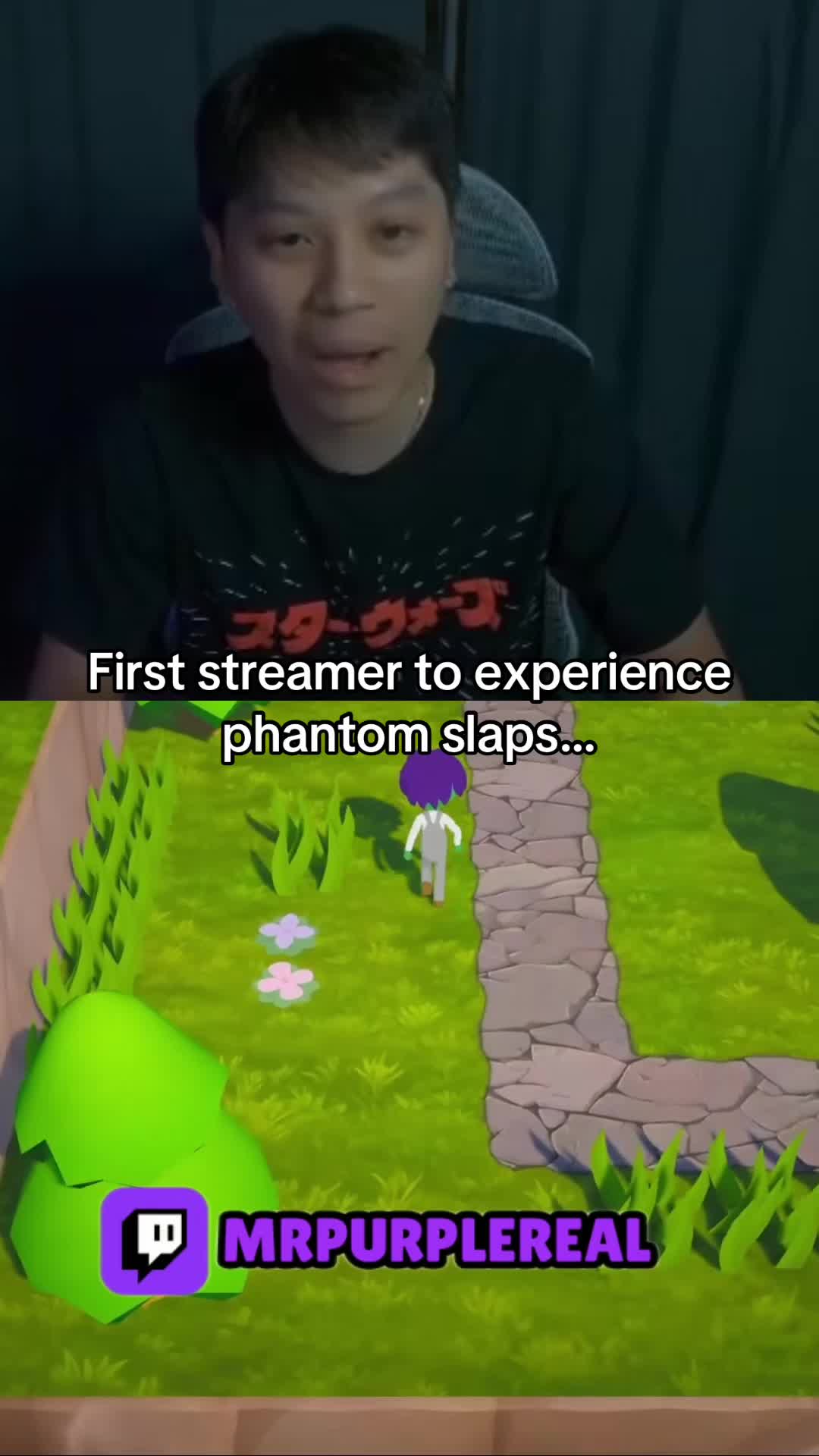 @MrPurpleClips