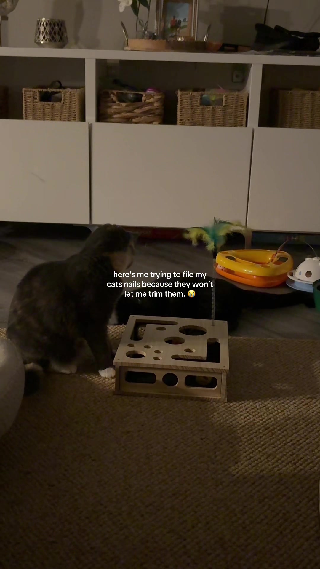 @Melanie🐈⬛