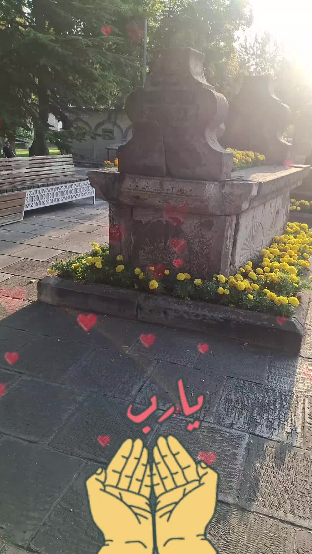 @gulvehsrn